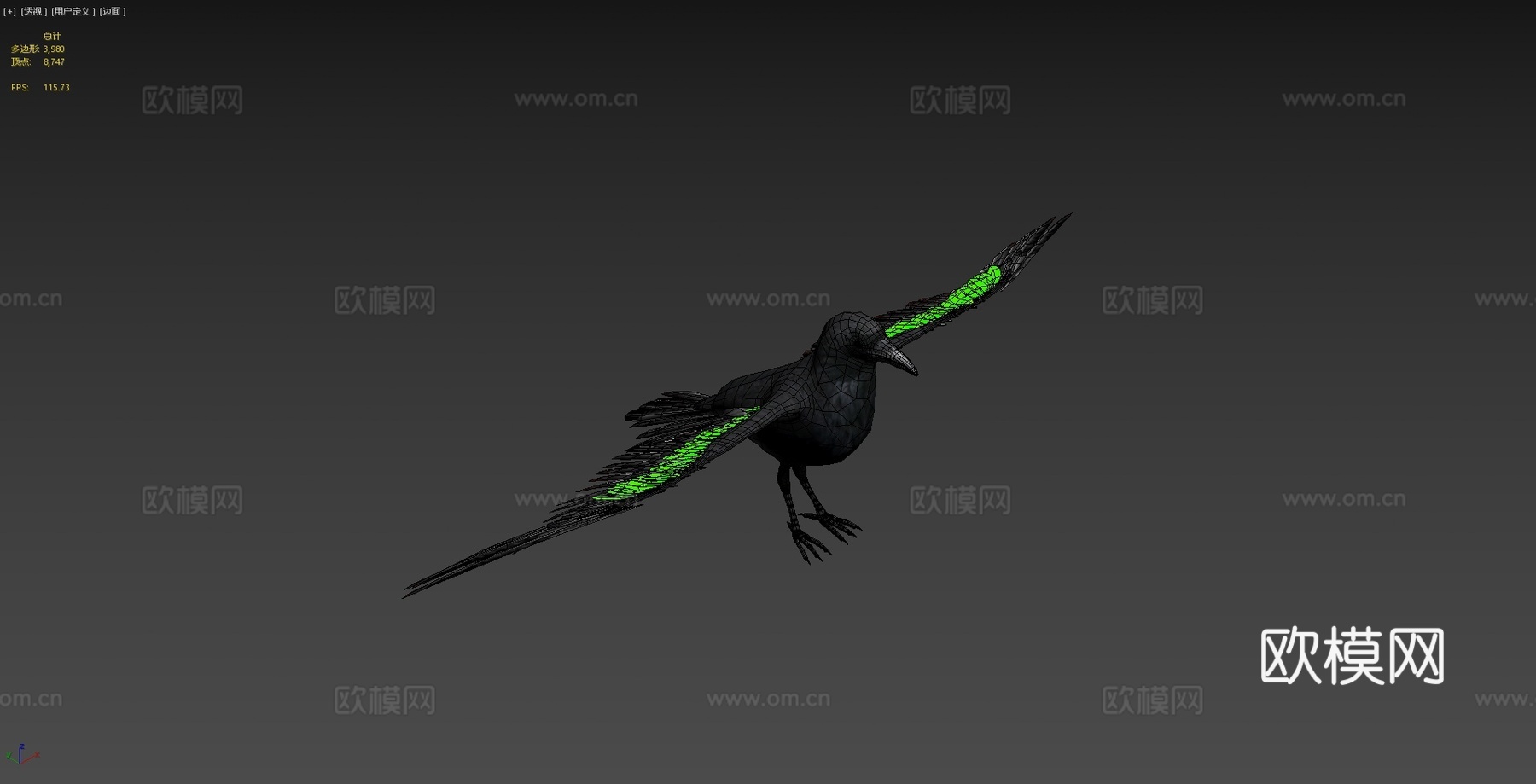 乌鸦_绑定动画3d模型