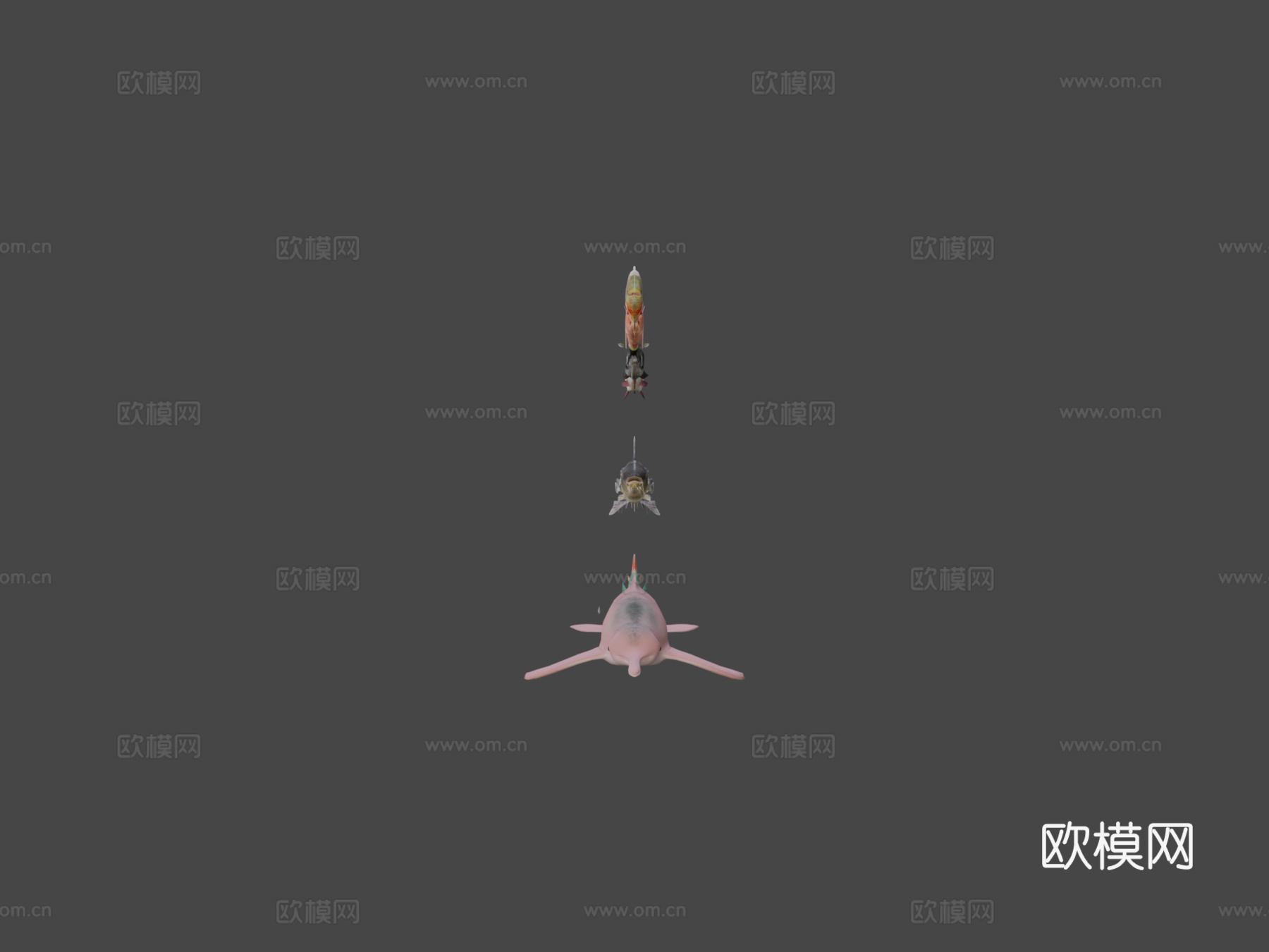 种淡水鱼包-低多边形动物3d模型