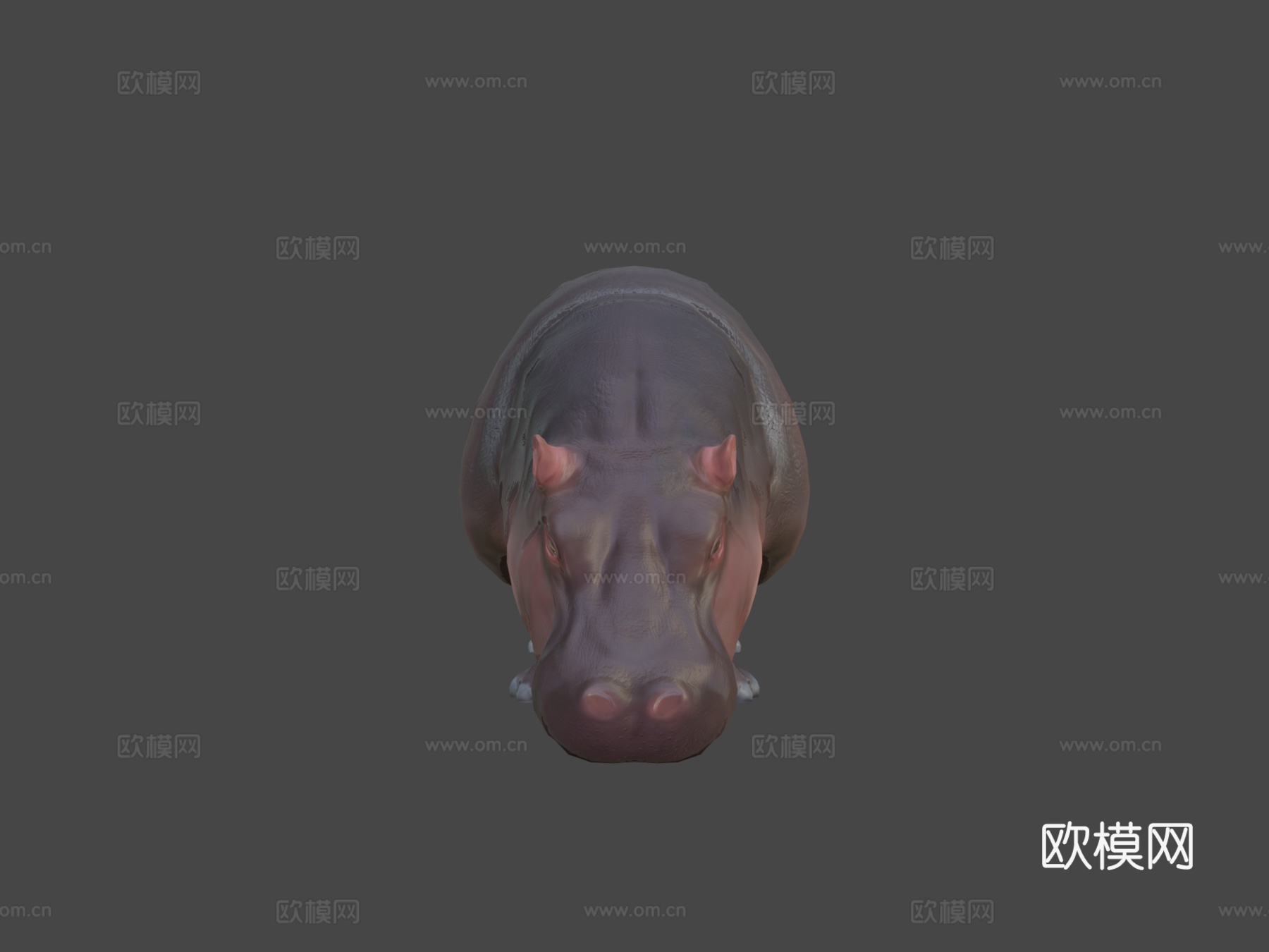 河马3d模型