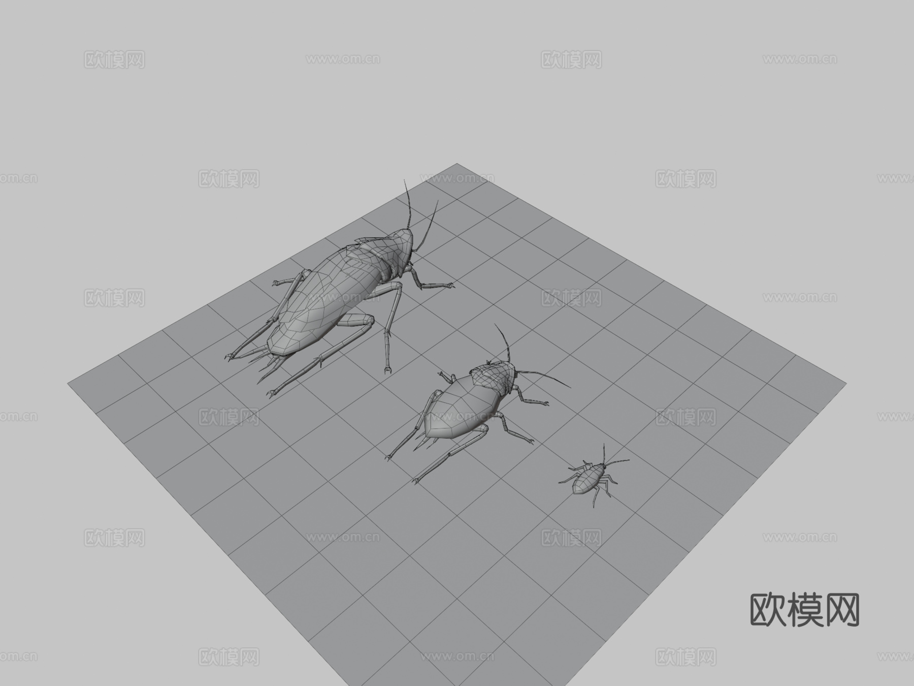 辐射再造-辐射蟑螂生命周期3d模型