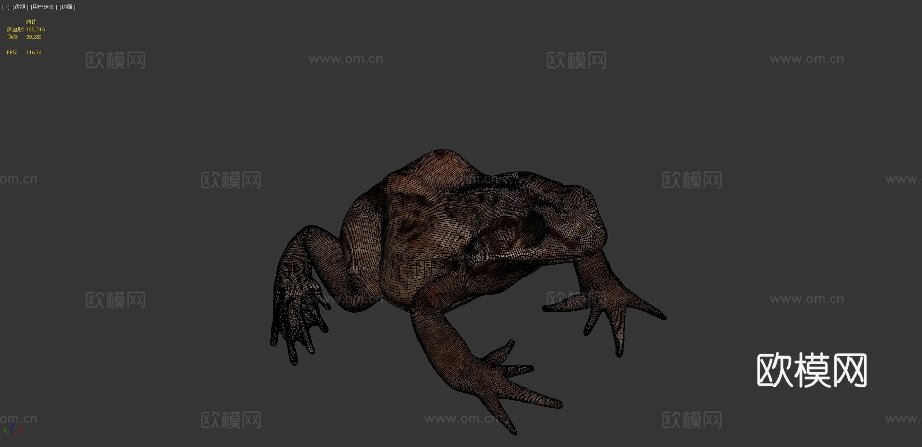 普通青蛙姿势制作中3d模型