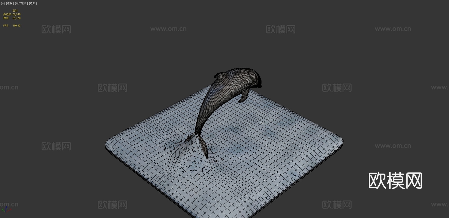 海豚3d模型