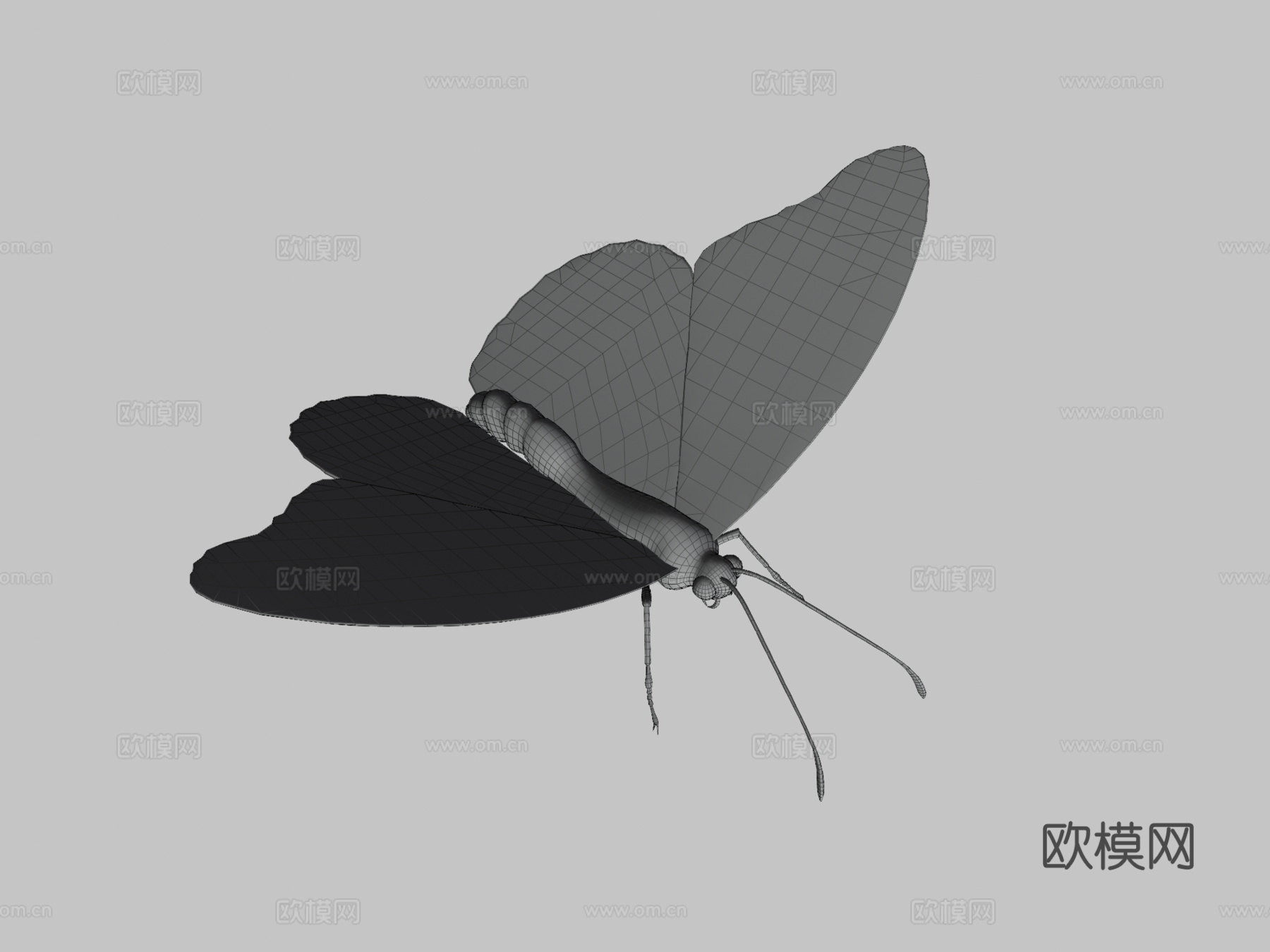 动画飞行扑翼蝴蝶循环3d模型