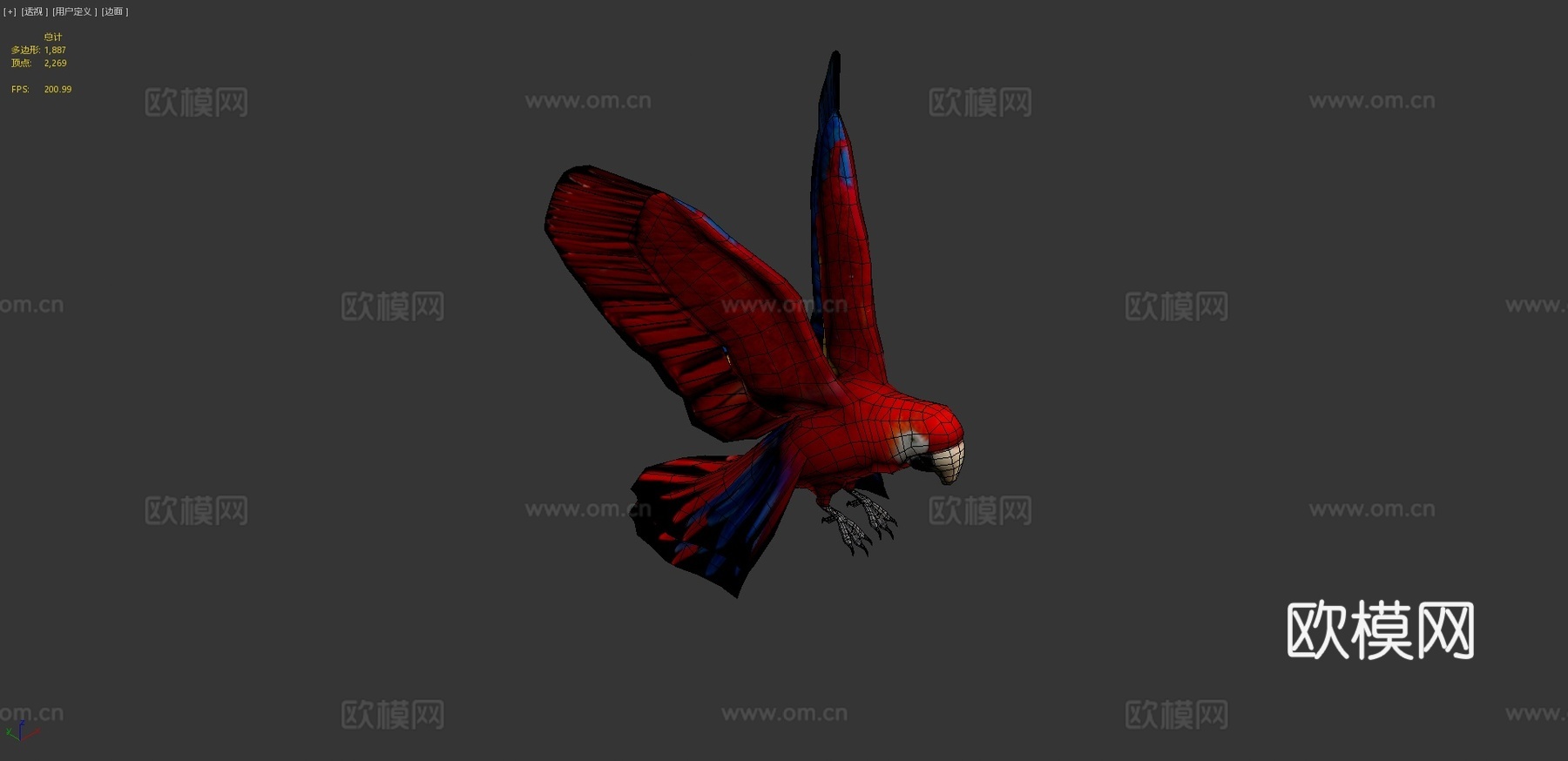 红金刚鹦鹉3d模型