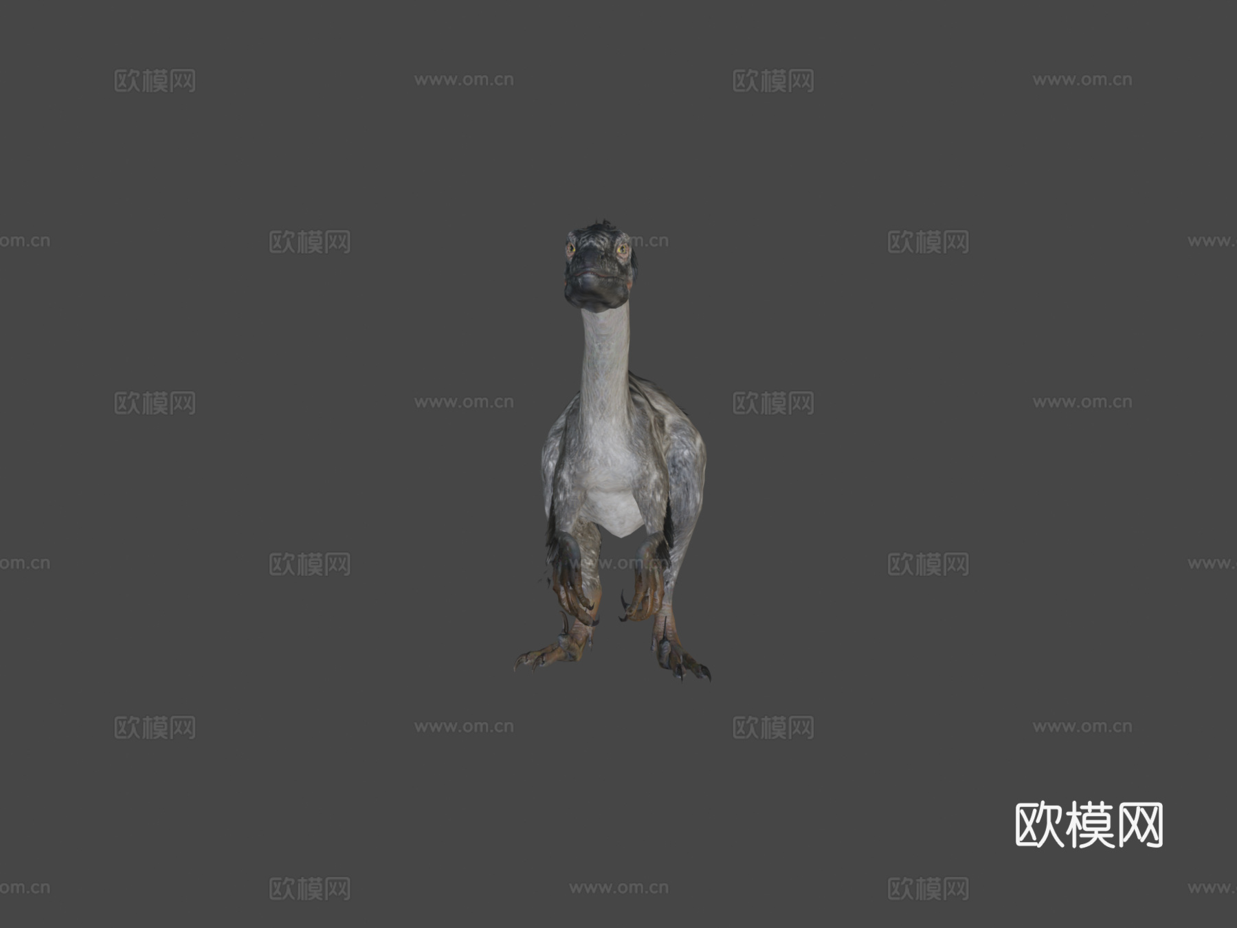 迅猛龙121动画-恐龙动画集3d模型