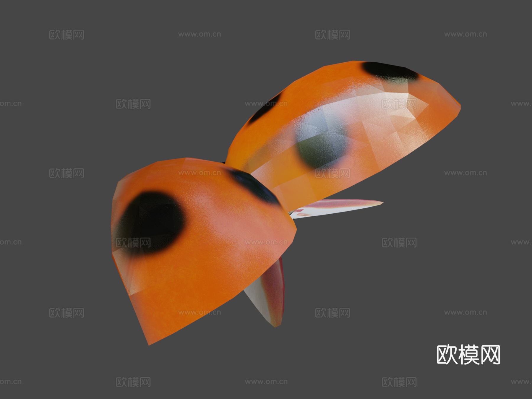 动画瓢虫3d模型