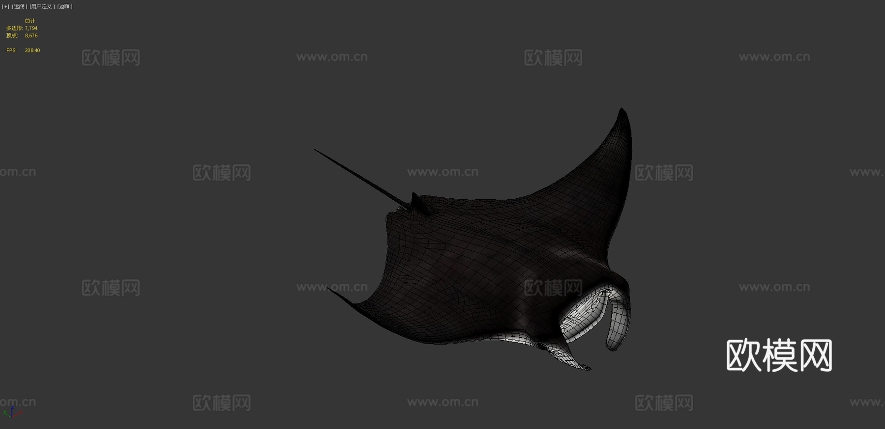 蝠鲼3d模型