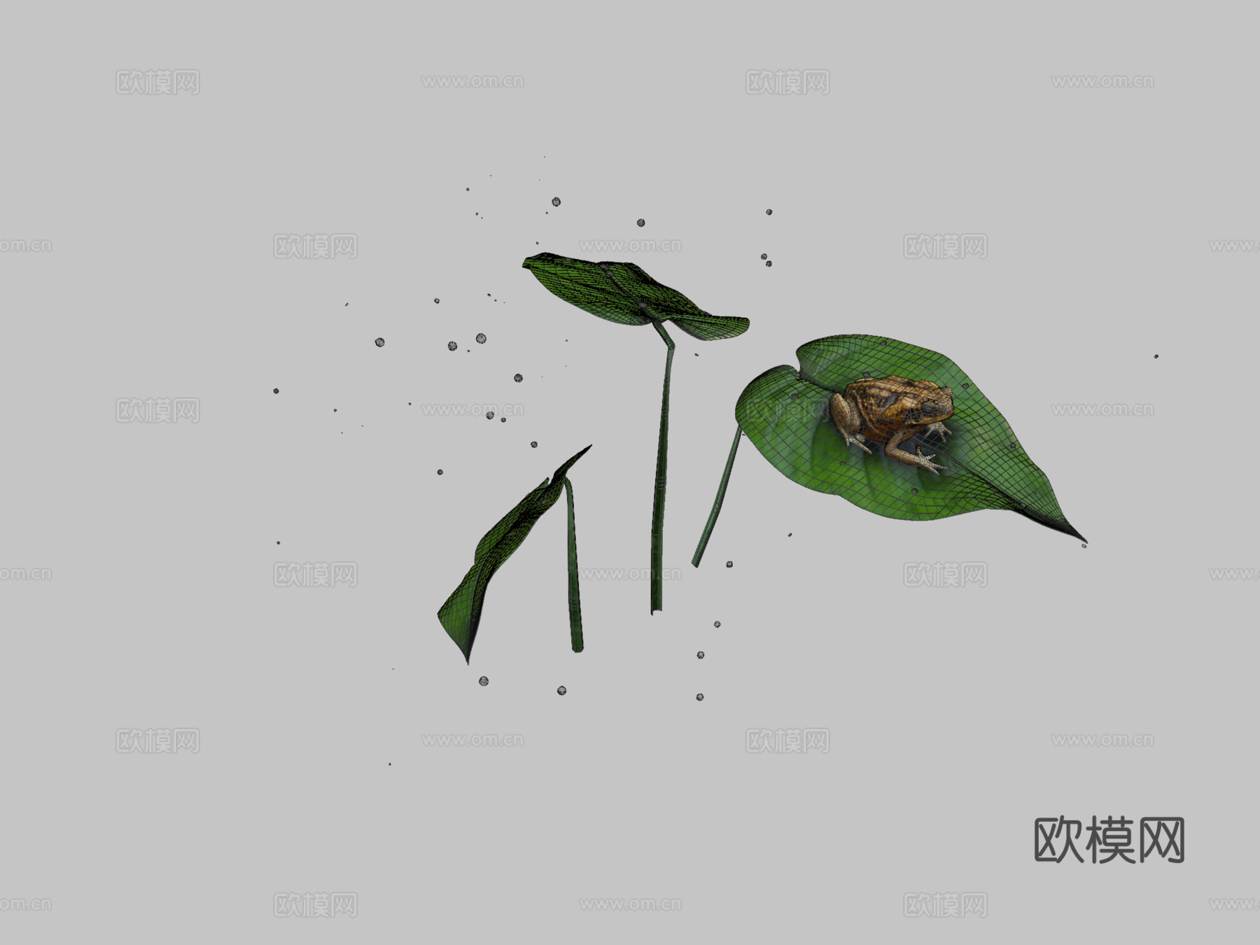 蟾蜍3d模型