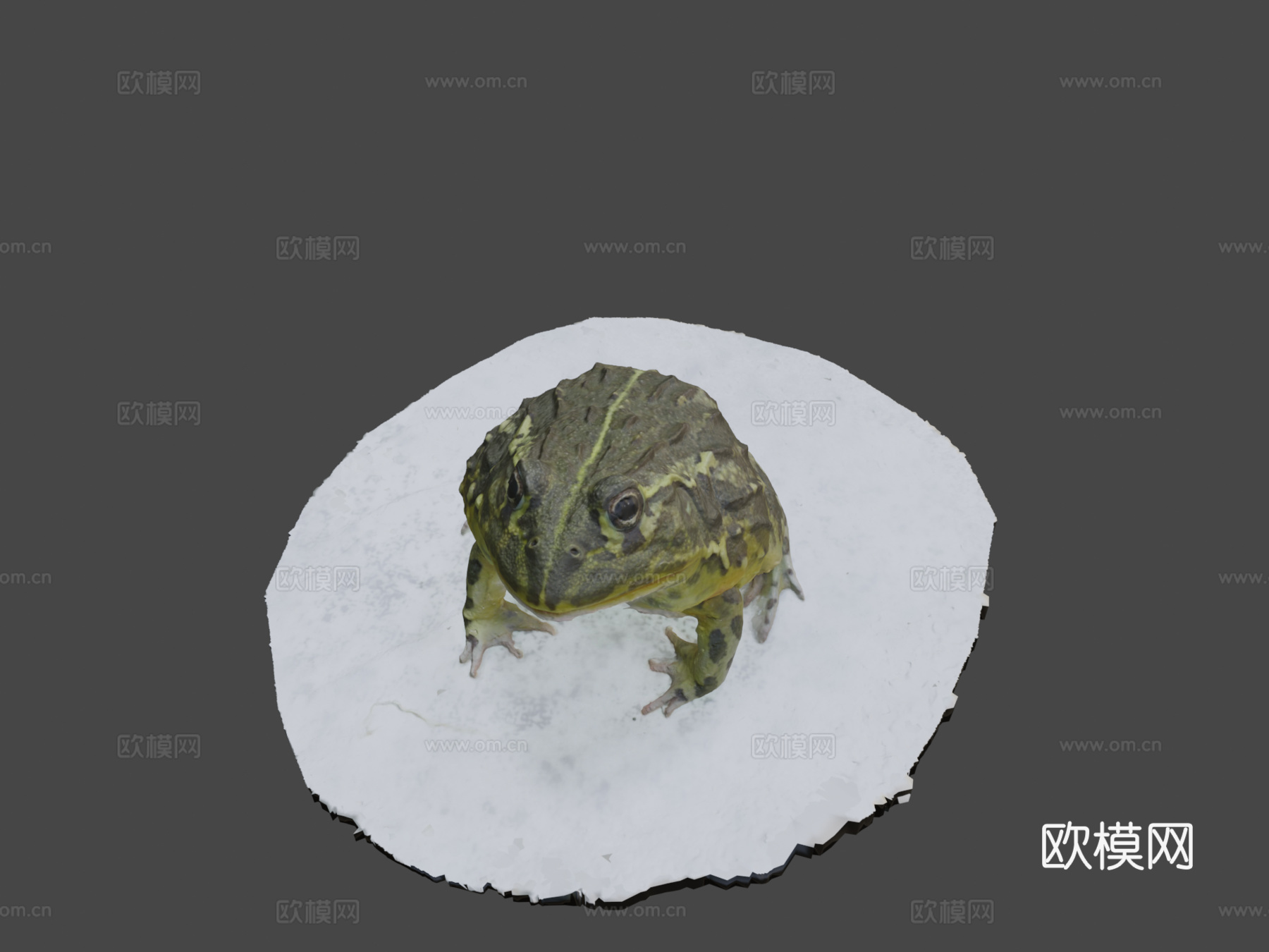 号模型-精灵蛙3d模型