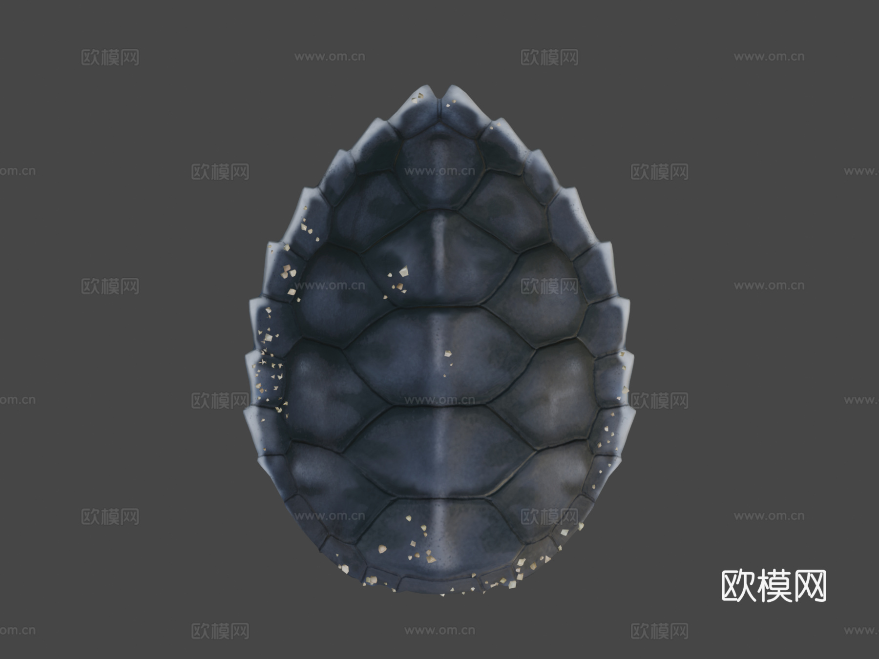 绿海龟宝宝3d模型