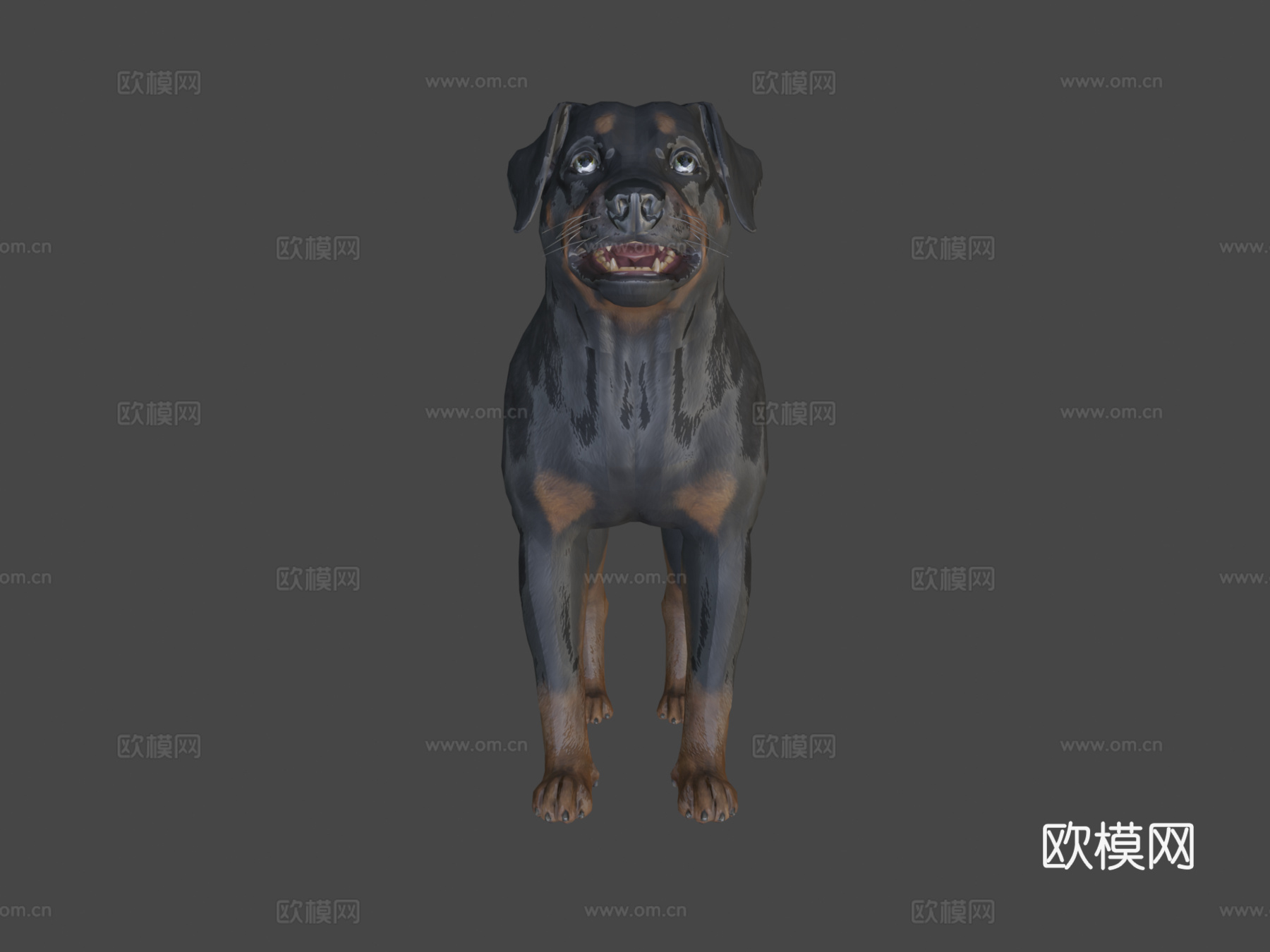 狗-罗威纳犬3d模型