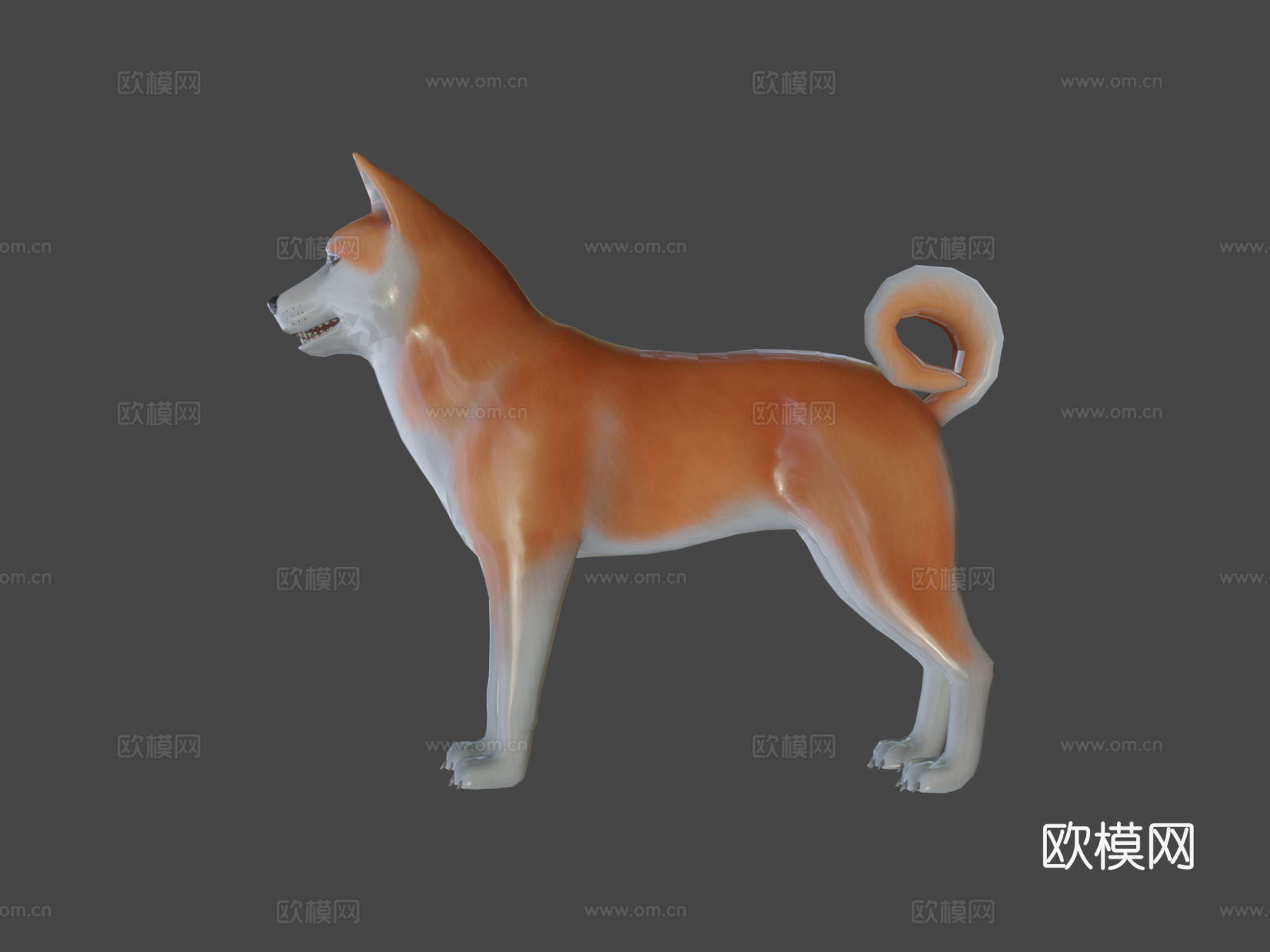 秋田犬3d模型
