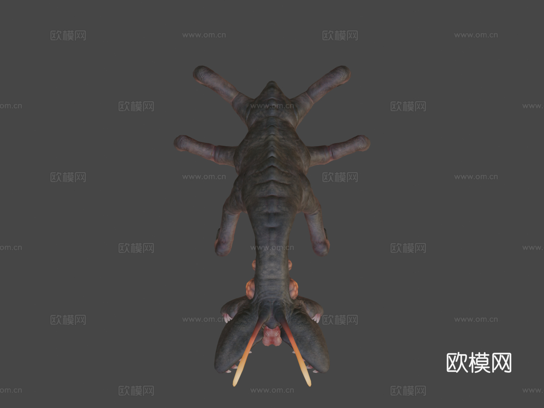 层铁氧体动画3d模型下载（渲染图5）