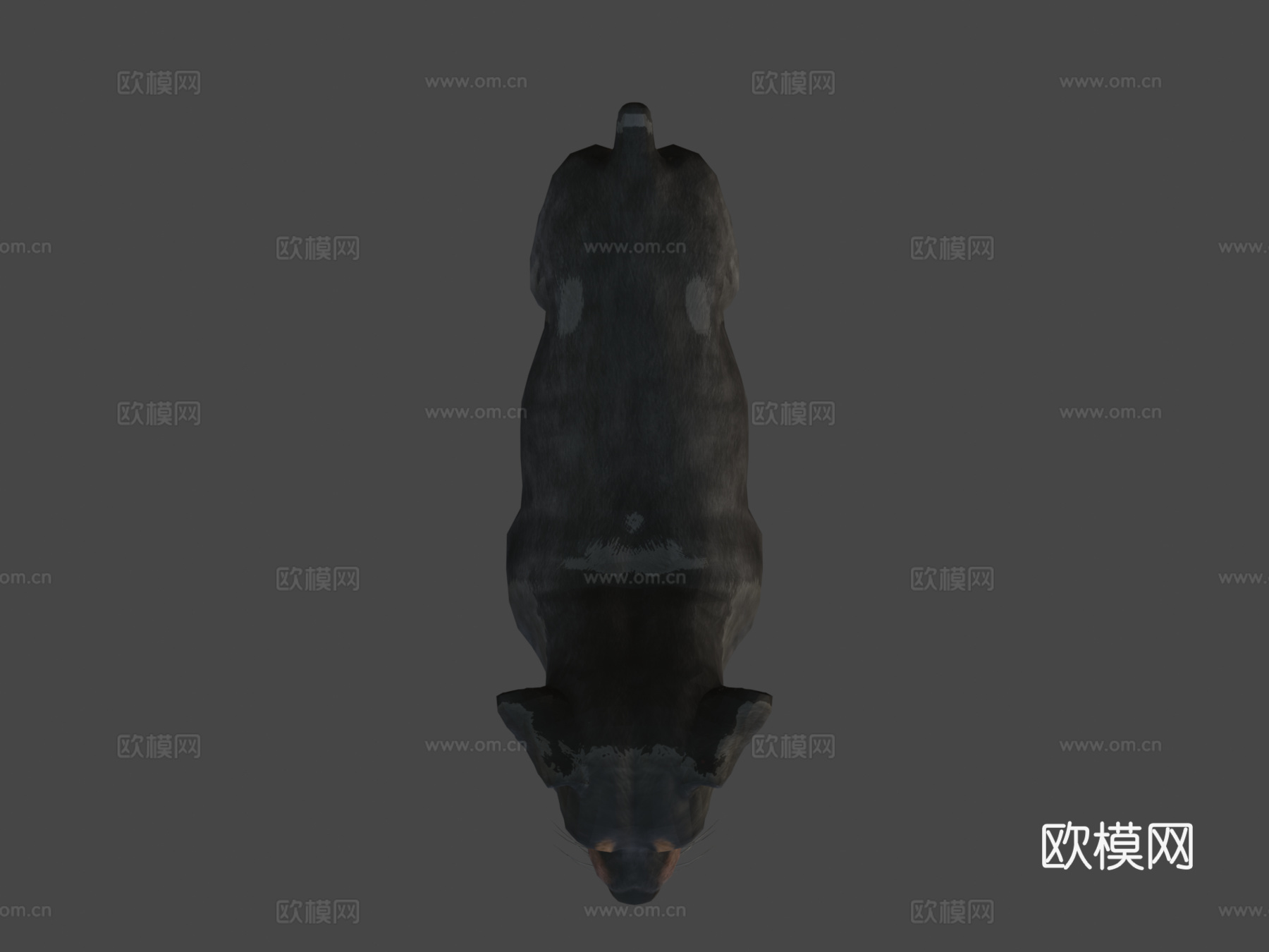 狗-罗威纳犬3d模型