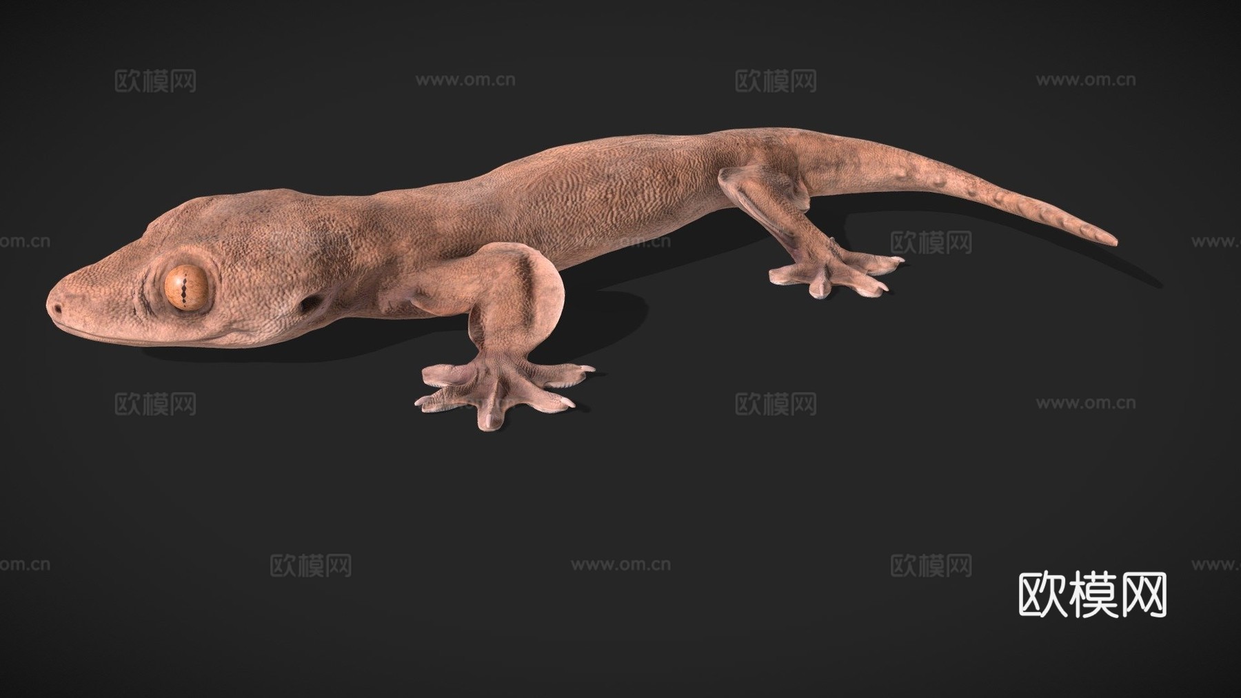 模型78A-卢珀龙3d模型