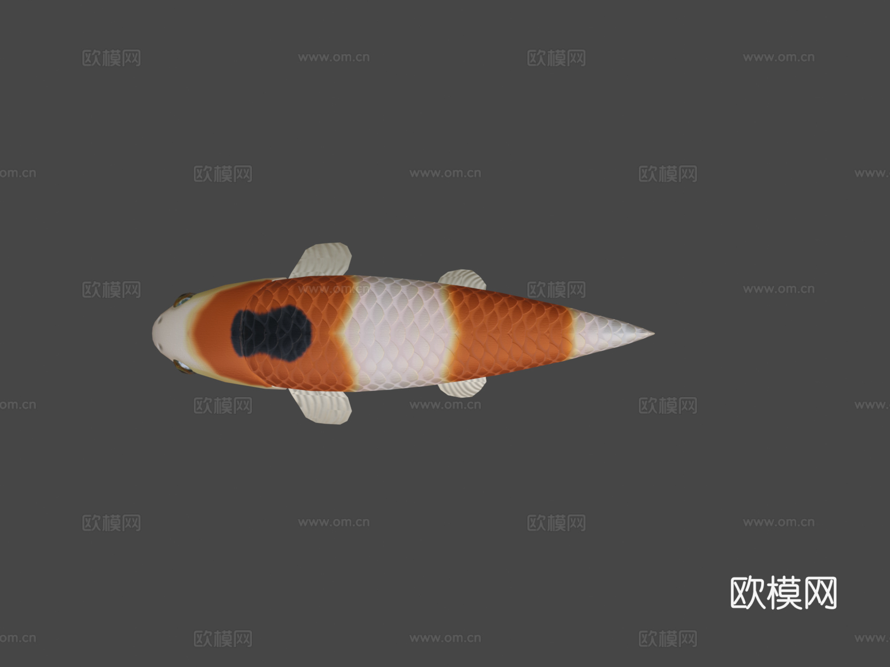 动画游动锦鲤(天空鲨鱼(犹他茶壶))3d模型