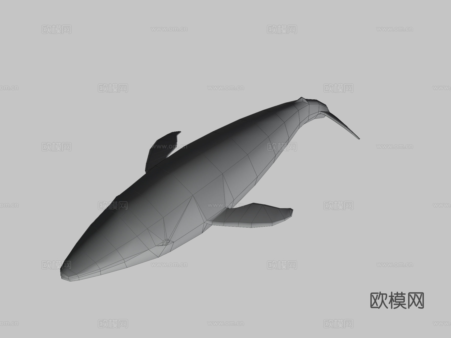 绑定蓝鲸3d模型