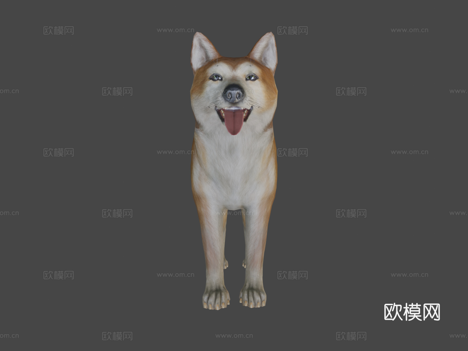 犬-秋田犬3d模型