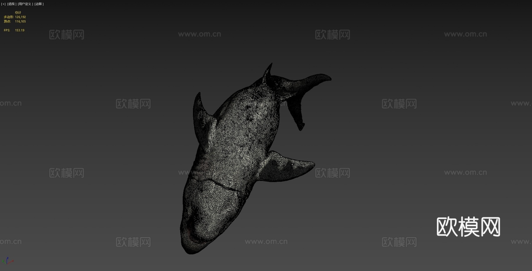巨齿鲨3d模型