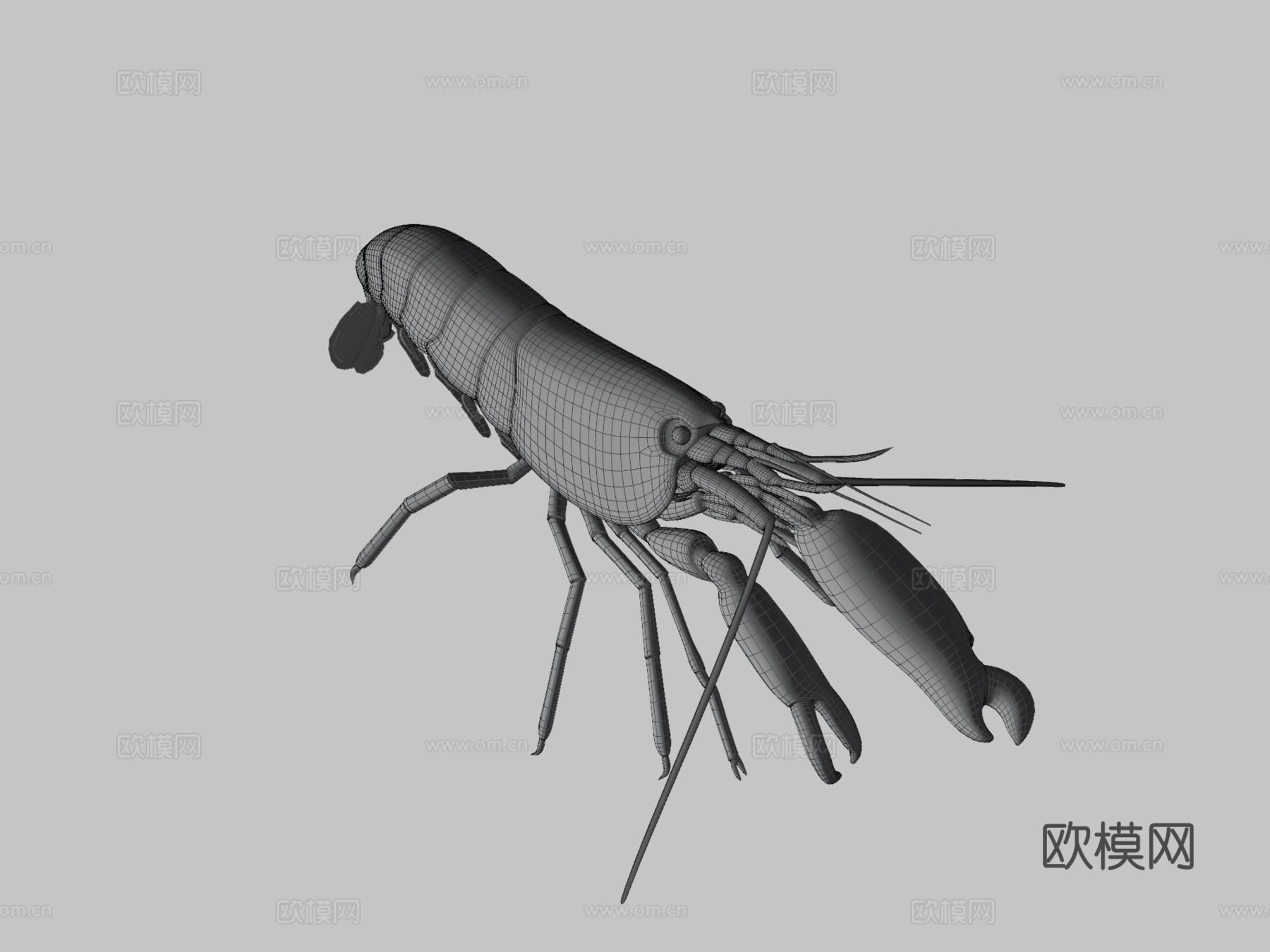 手枪虾3d模型