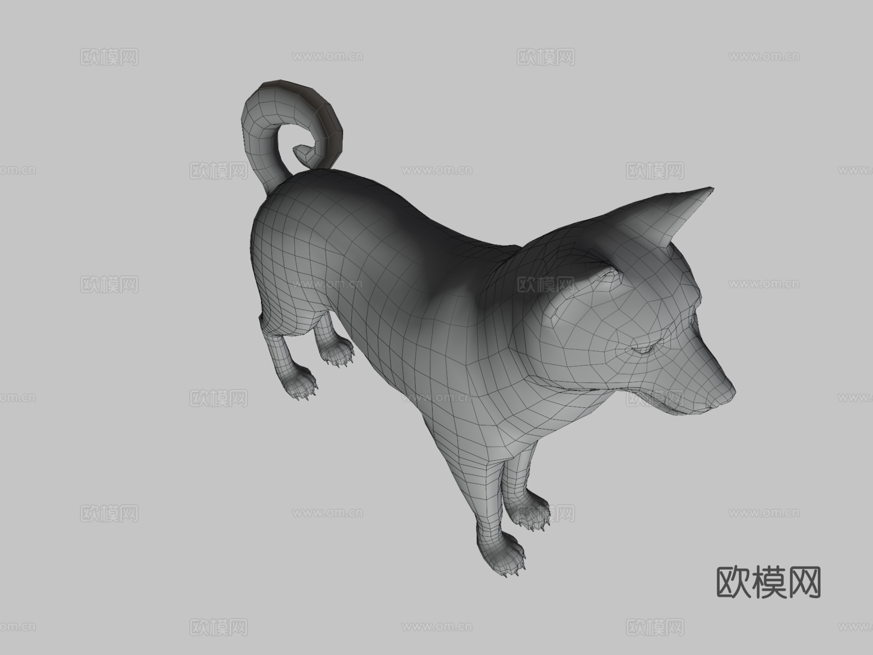 秋田犬3d模型