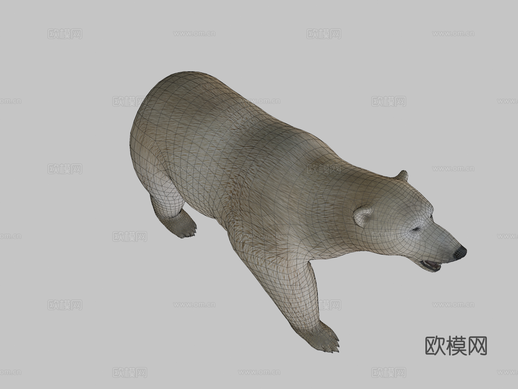 北极熊3d模型