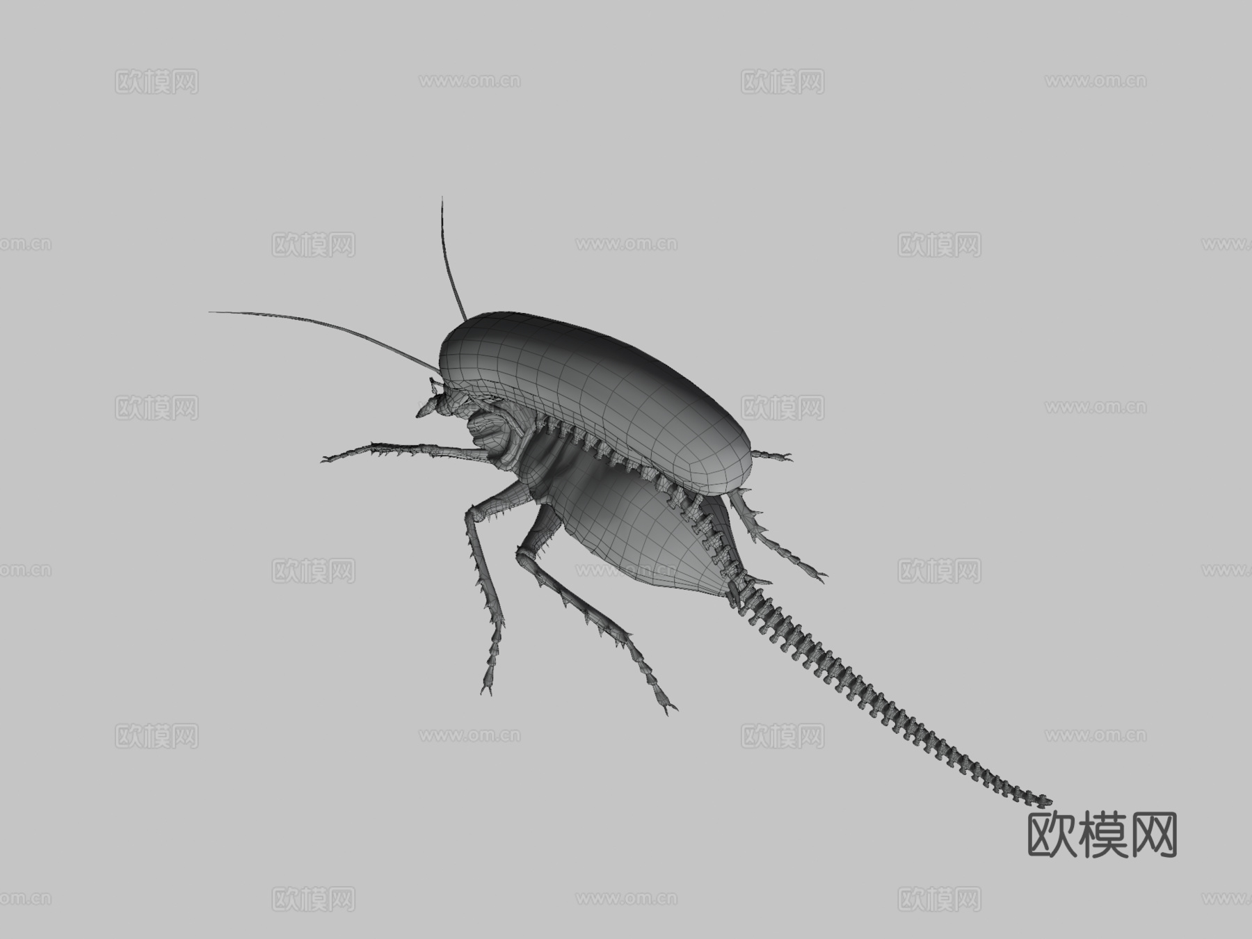 外星蟑螂3d模型