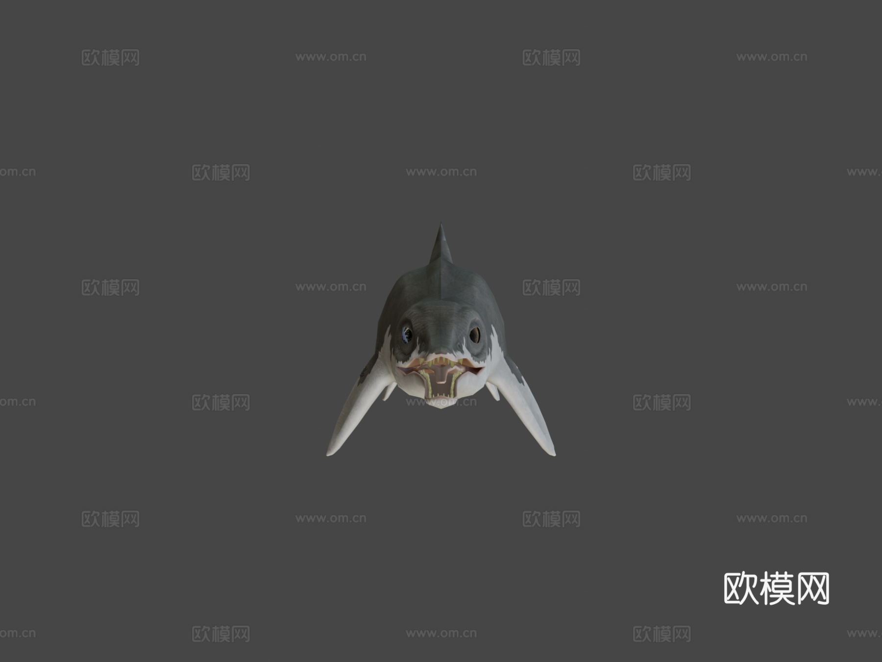 鱼龙3d模型