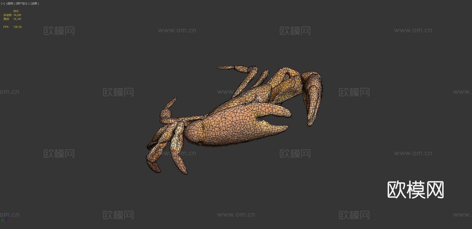 雄性快速蟹-快速压缩3d模型