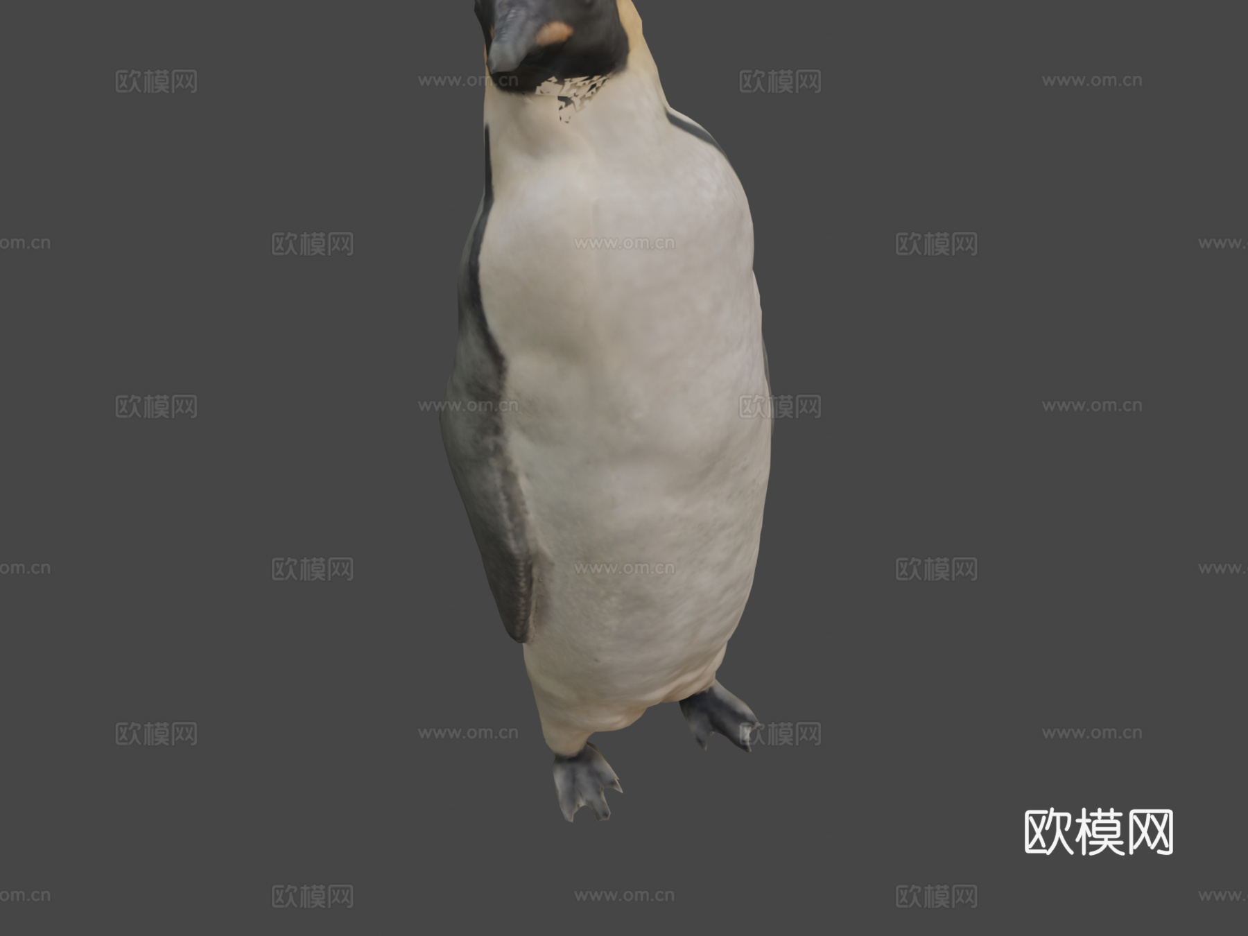 帝企鹅3d模型