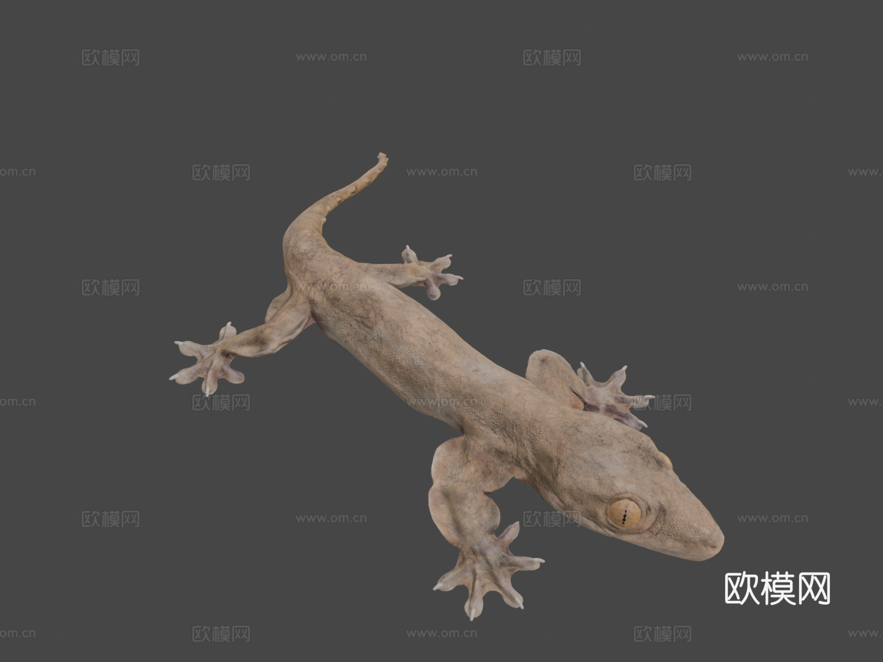 模型78A-卢珀龙3d模型