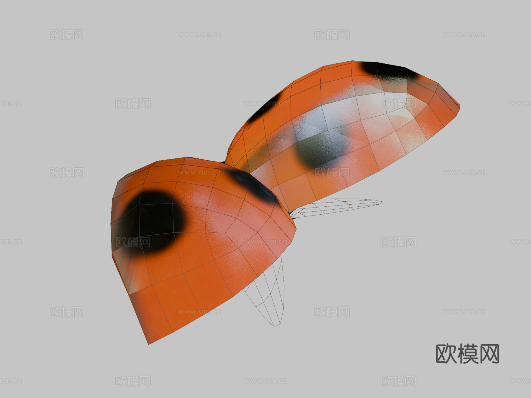 动画瓢虫3d模型
