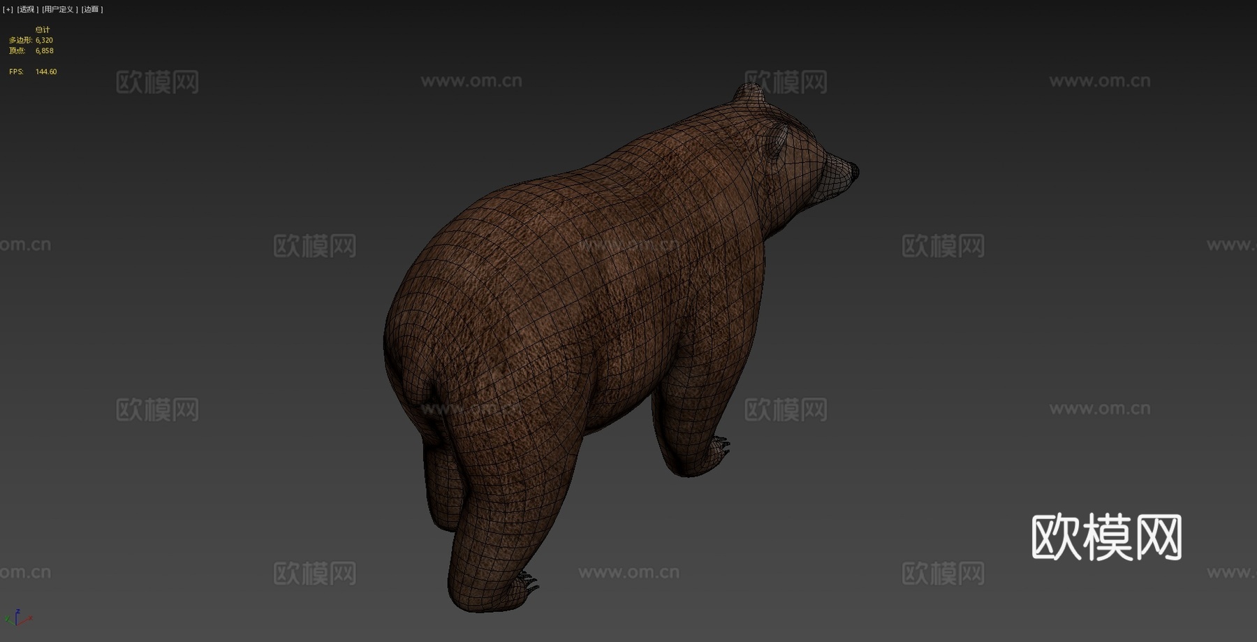熊3d模型