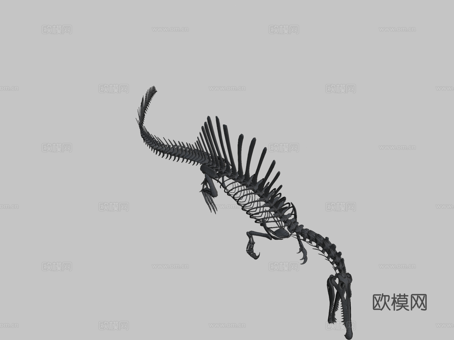 棘龙骨架3d模型