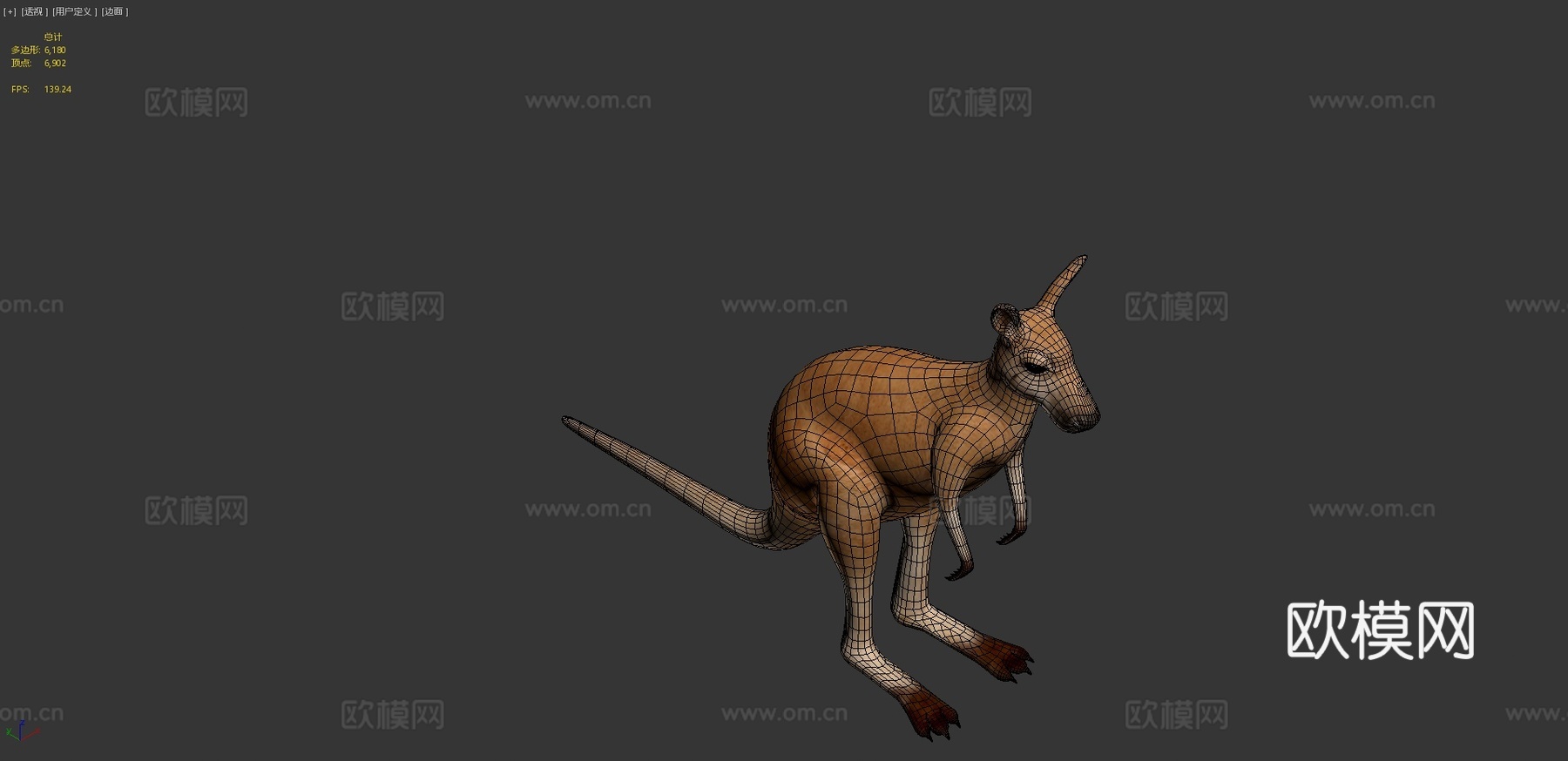 袋鼠3d模型