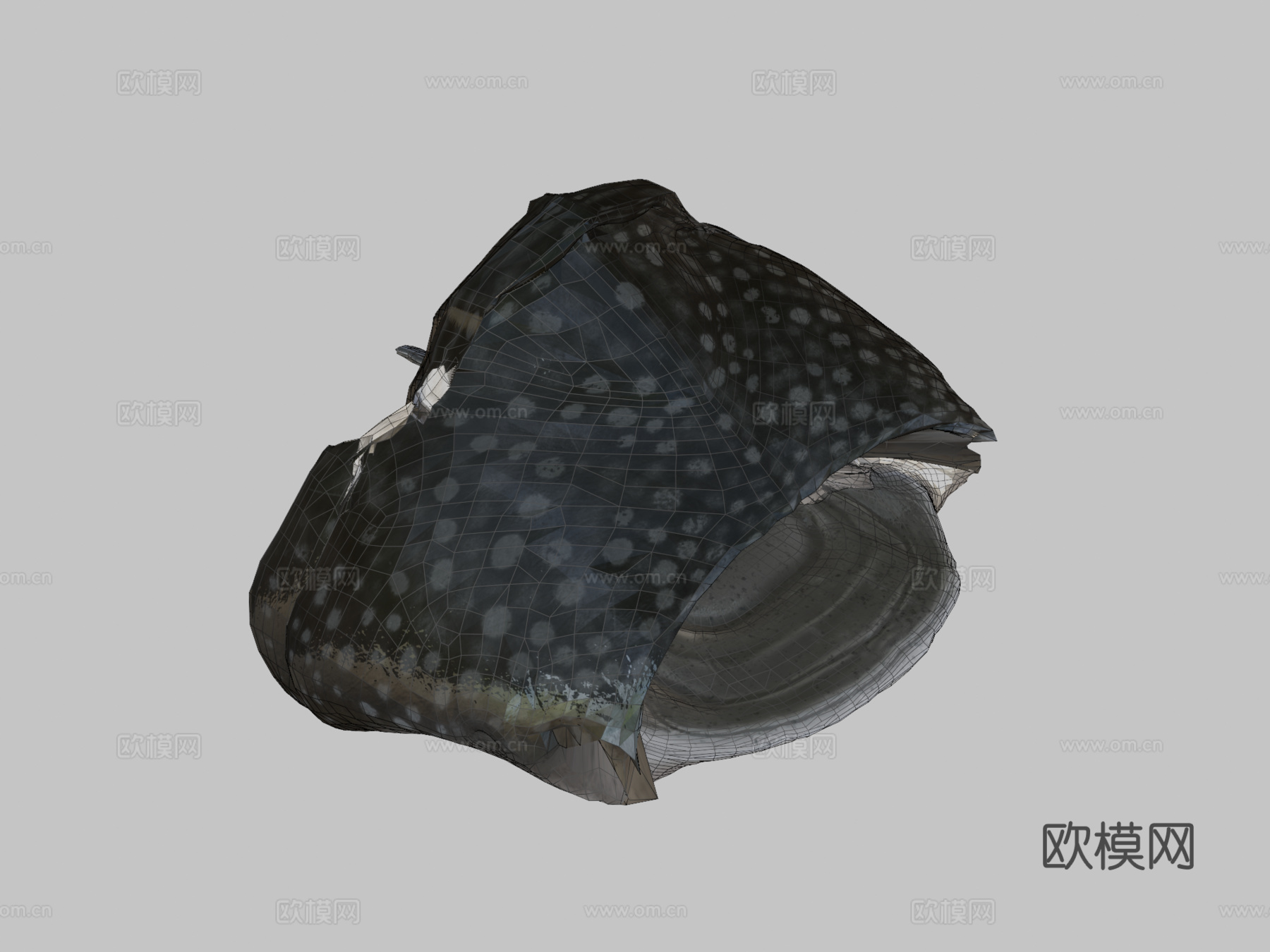 鲸鲨3d模型