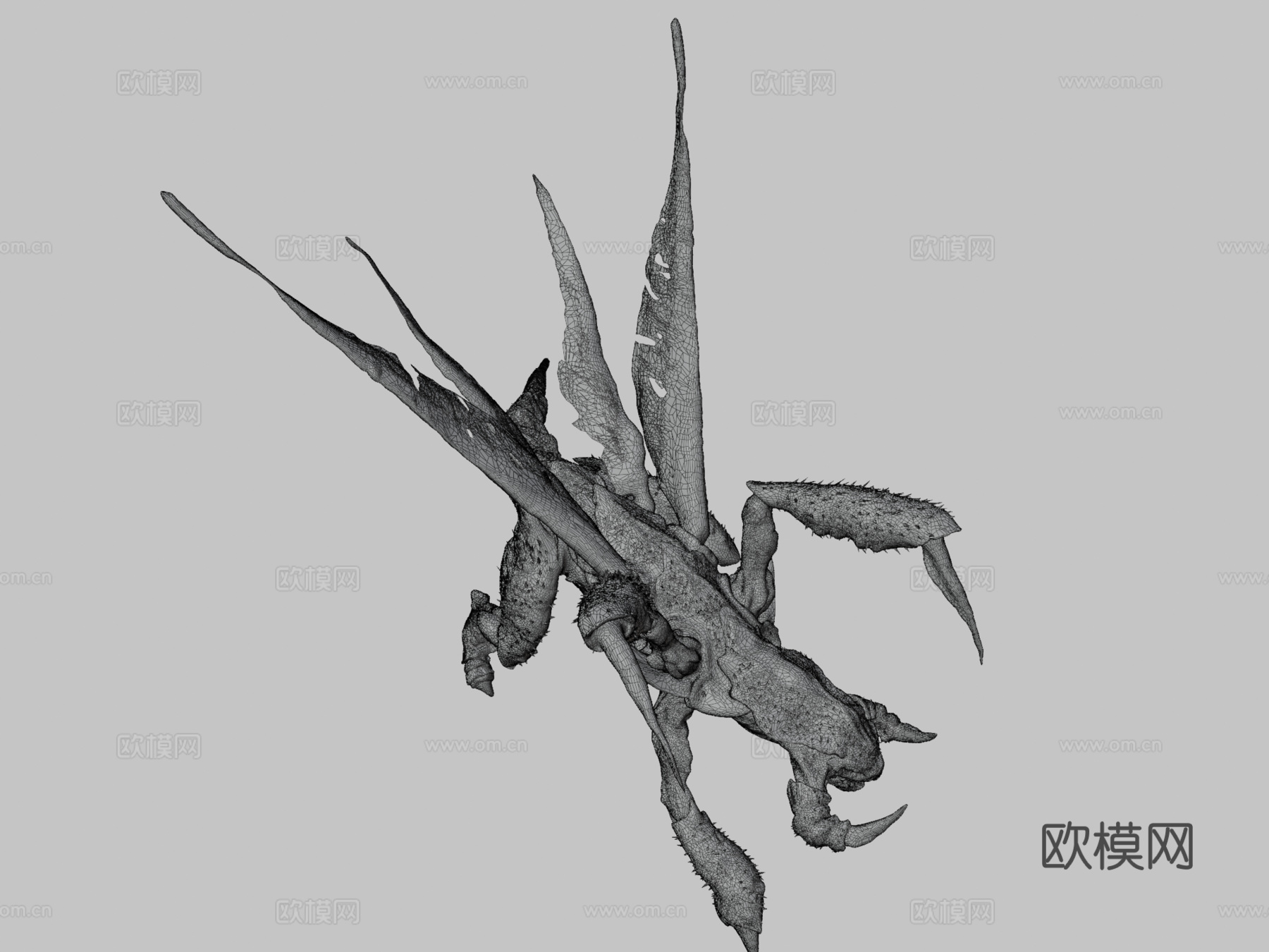 真实速龙3d模型