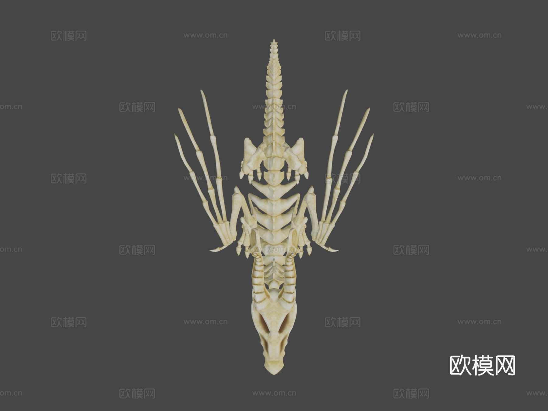 龙骨架3d模型