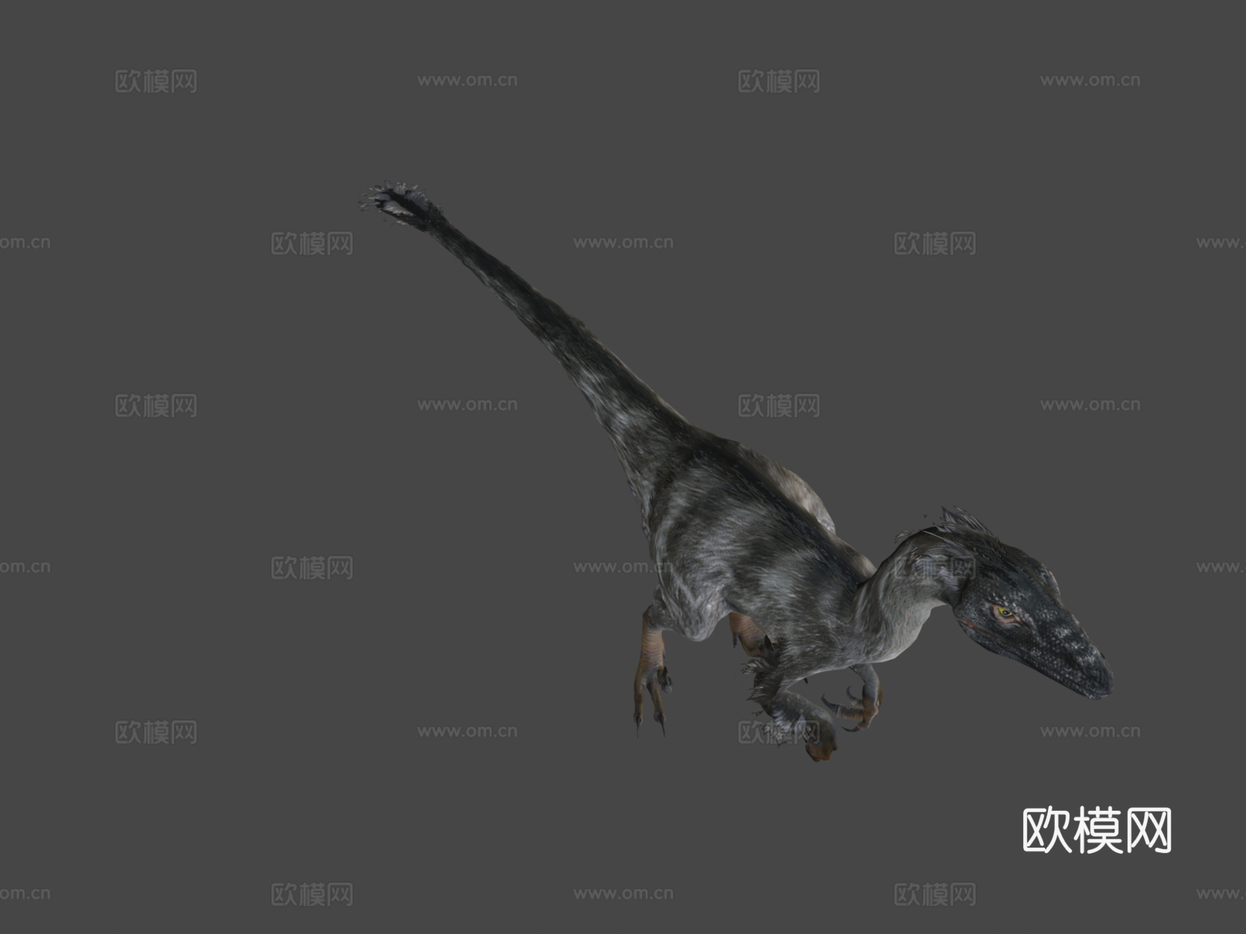 迅猛龙121动画-恐龙动画集3d模型