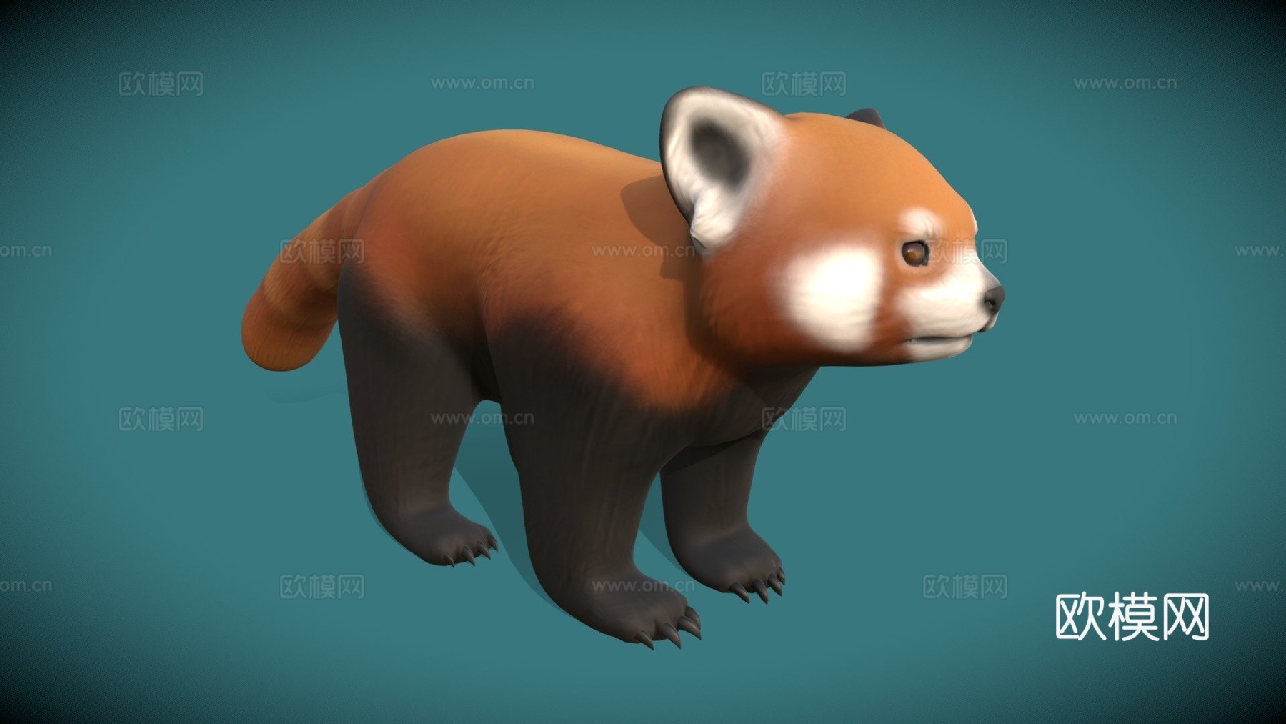 红熊猫-雕刻练习3d模型