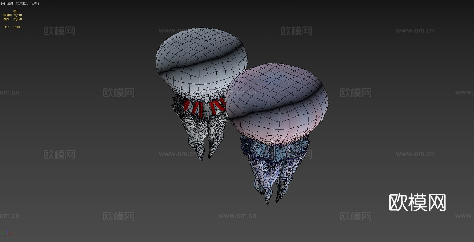 水母根口水母3d模型