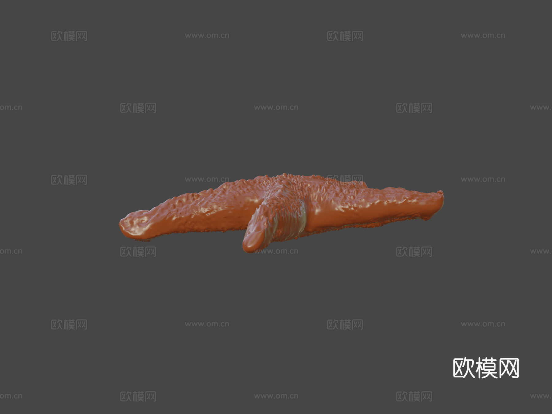 海星3d模型