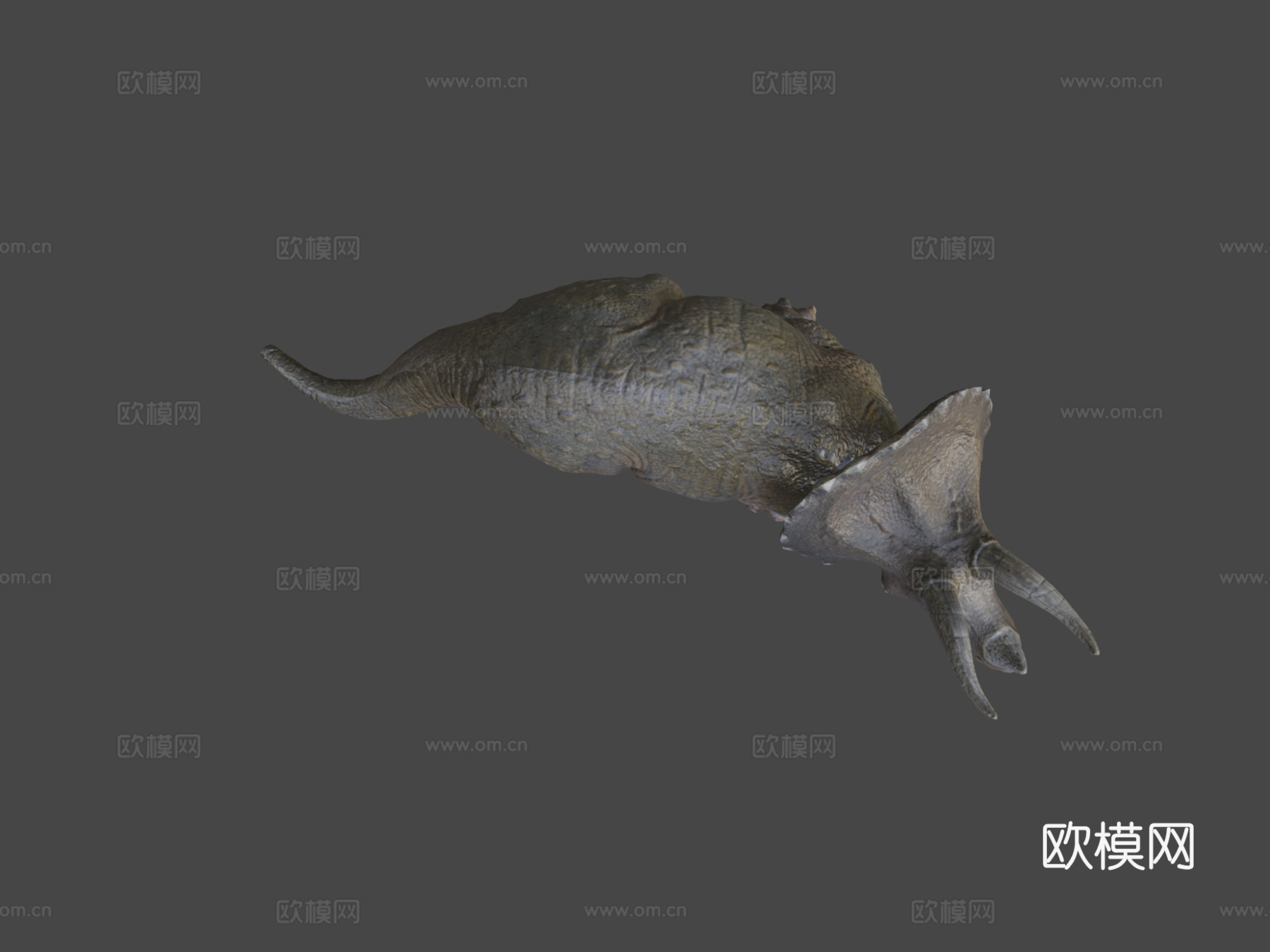 三角龙摄影测量测试3d模型