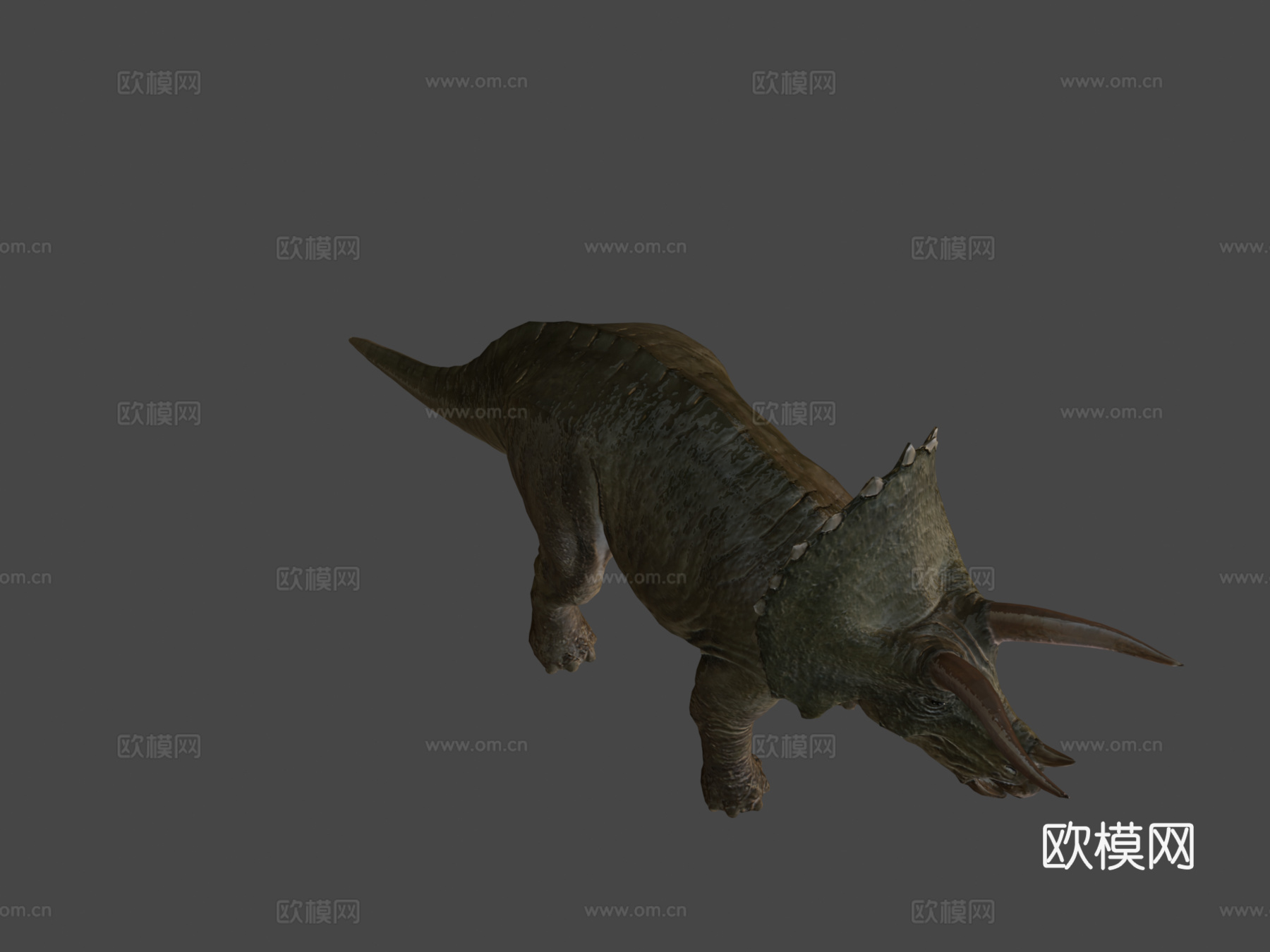 三角龙3d模型