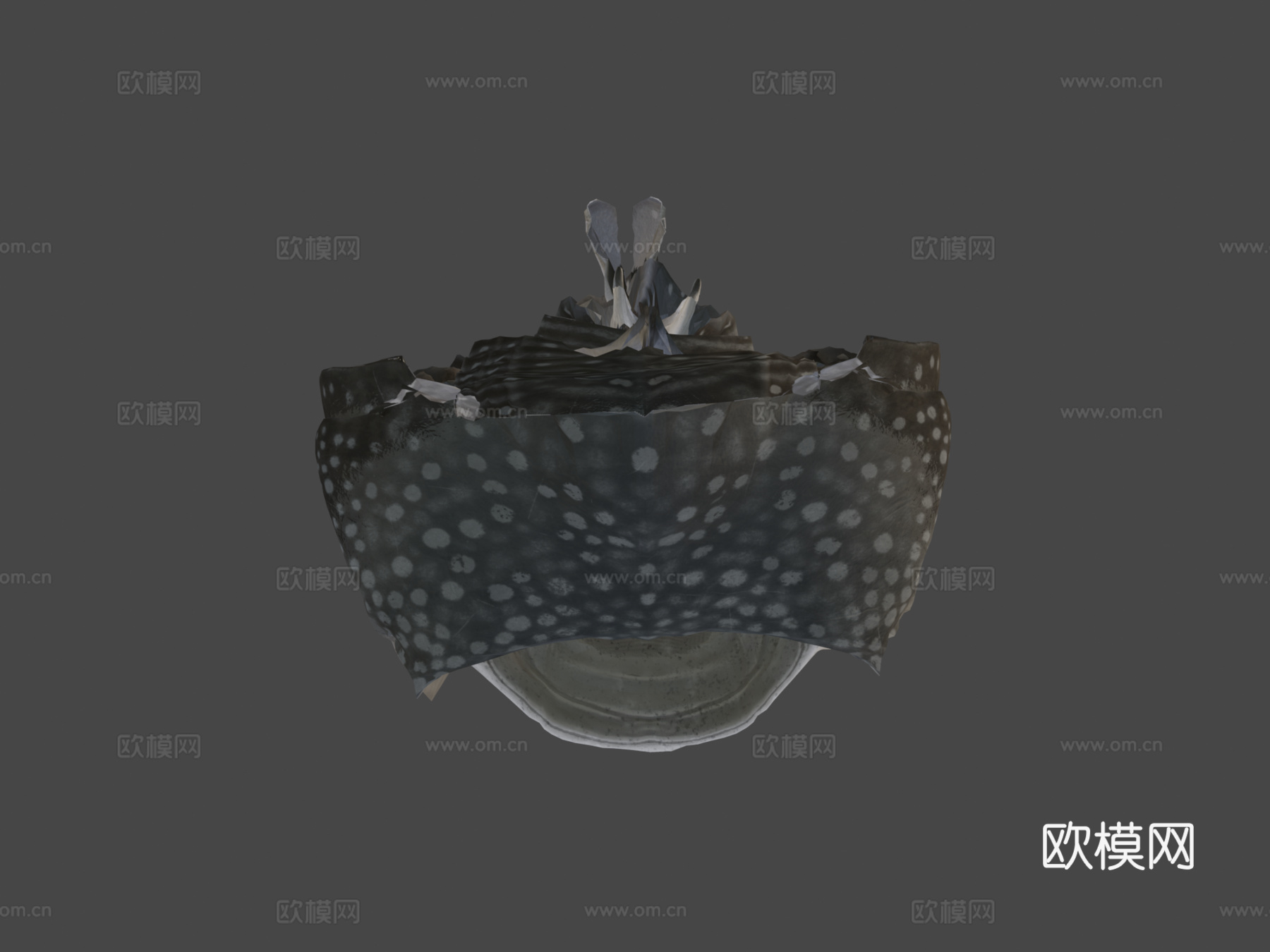 鲸鲨3d模型