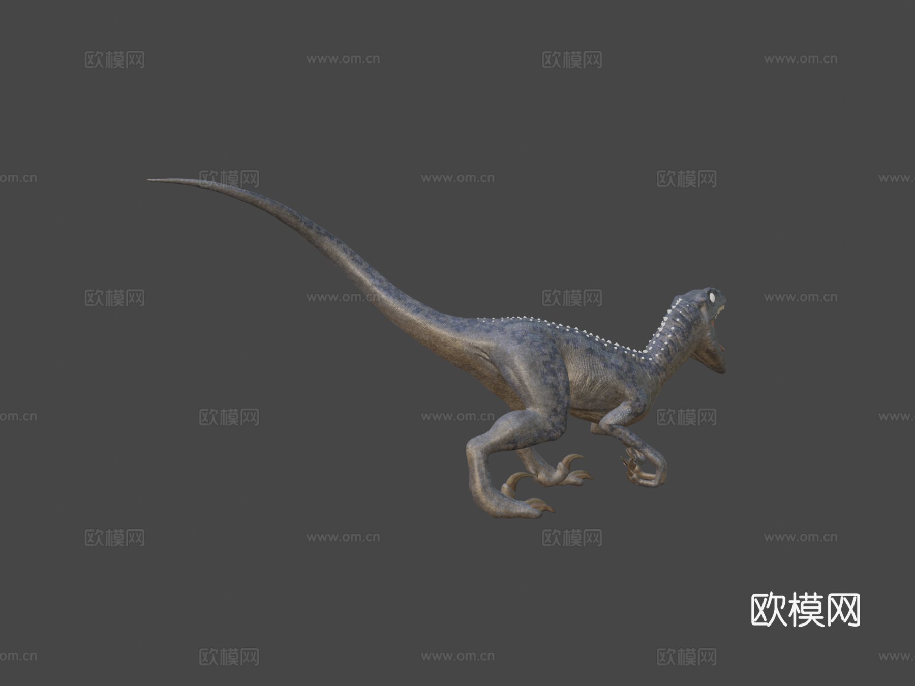 迅猛龙3d模型