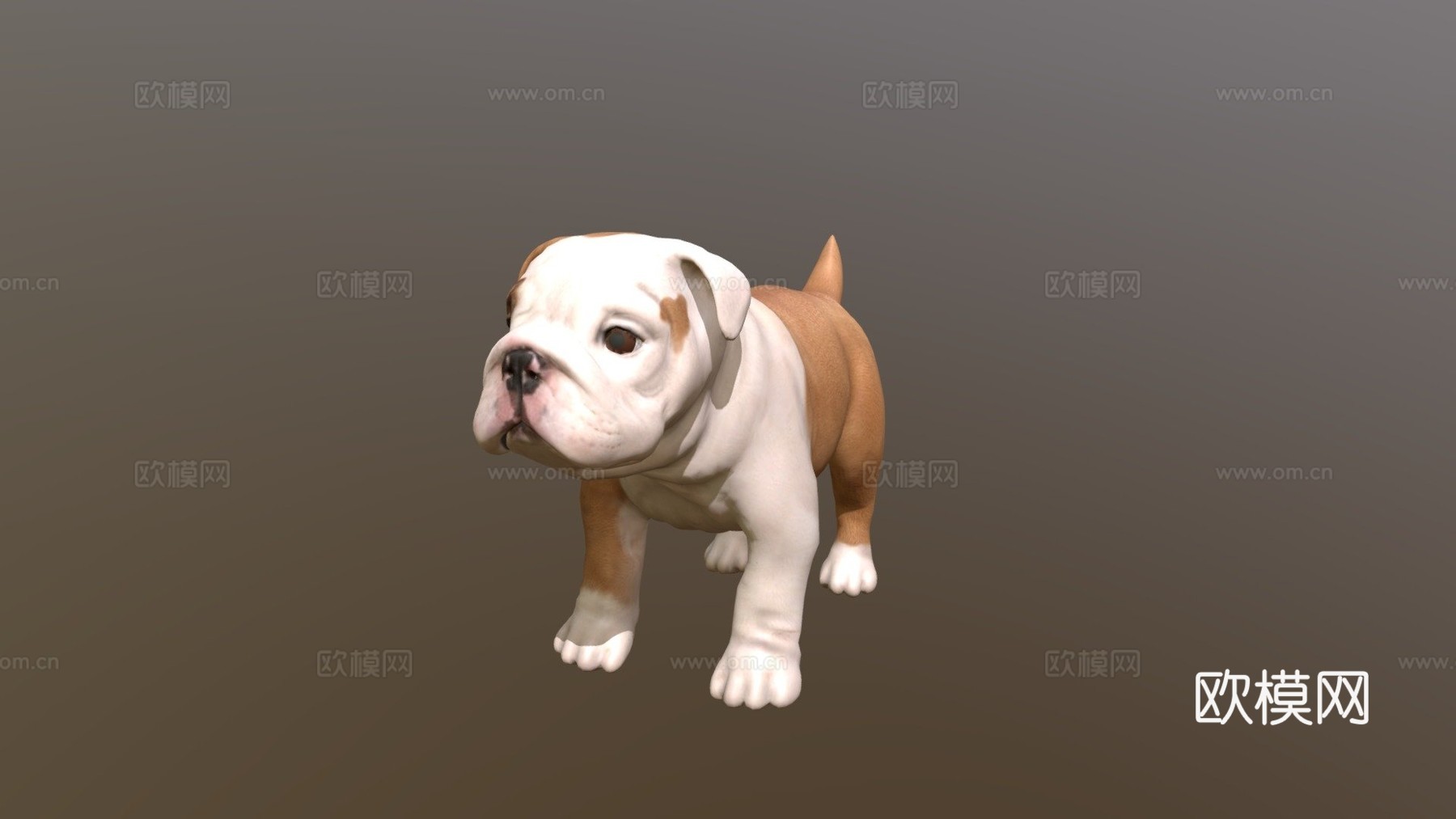 牛头犬幼崽3d模型
