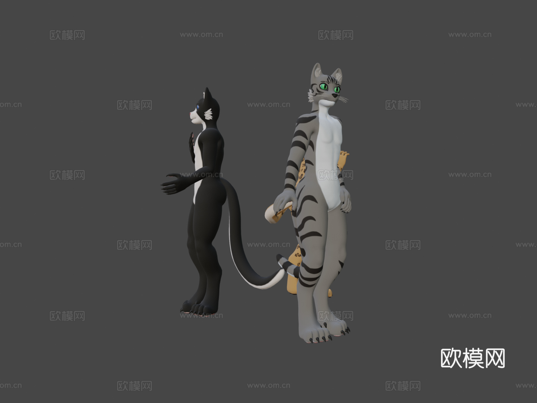 VRChat猫科基础模型3d模型