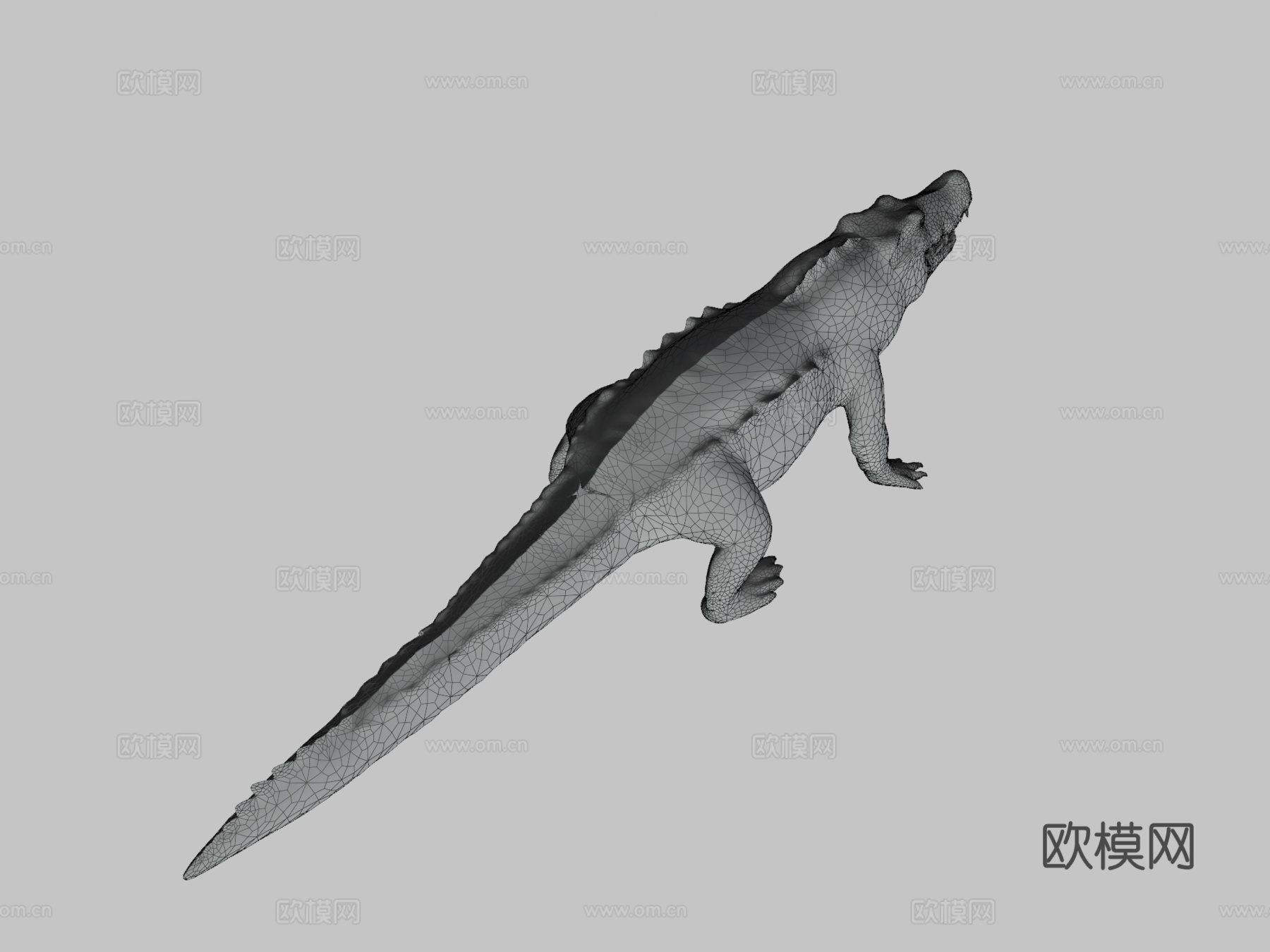 鳄鱼3d模型