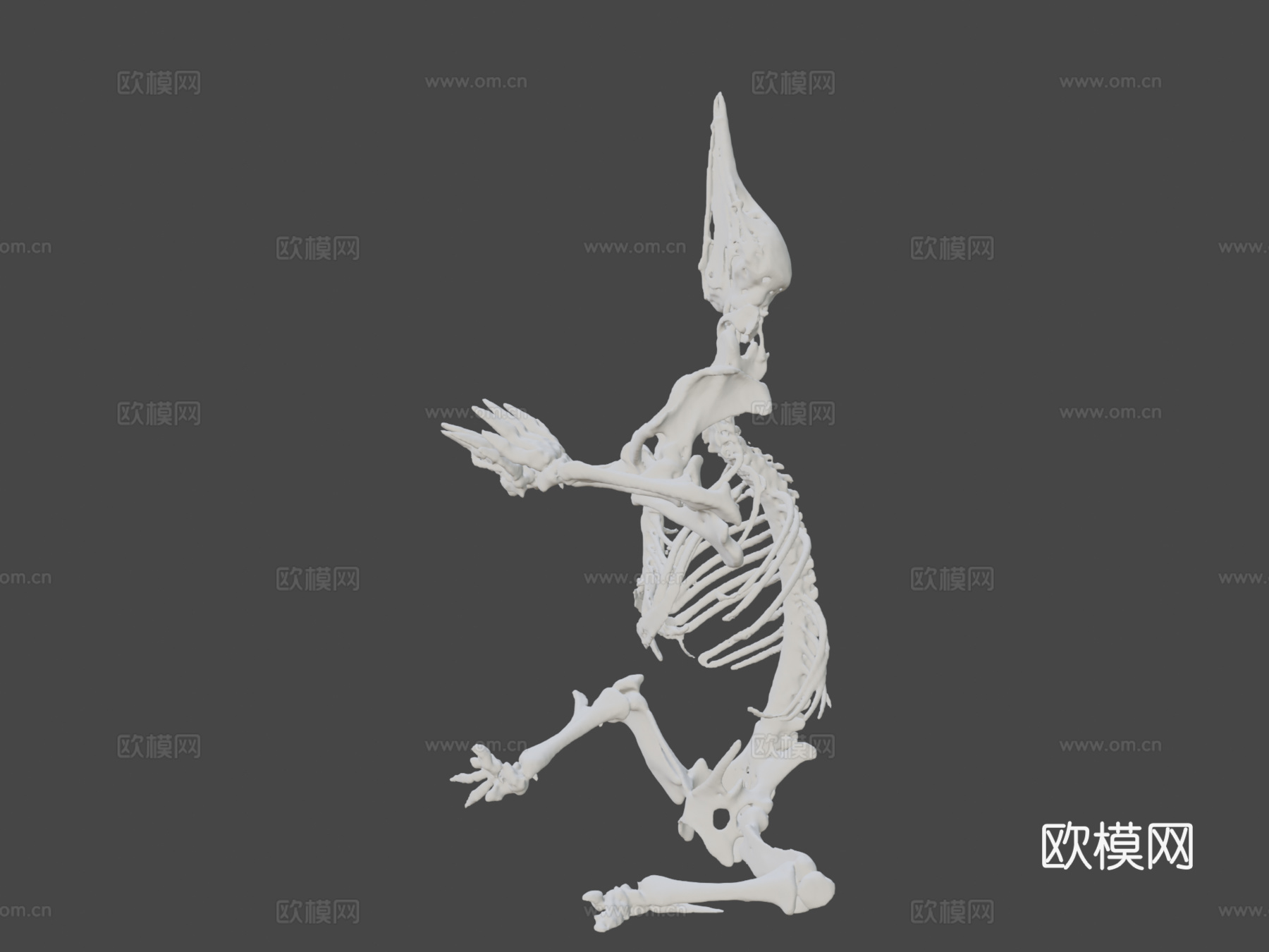 针鼹3d模型